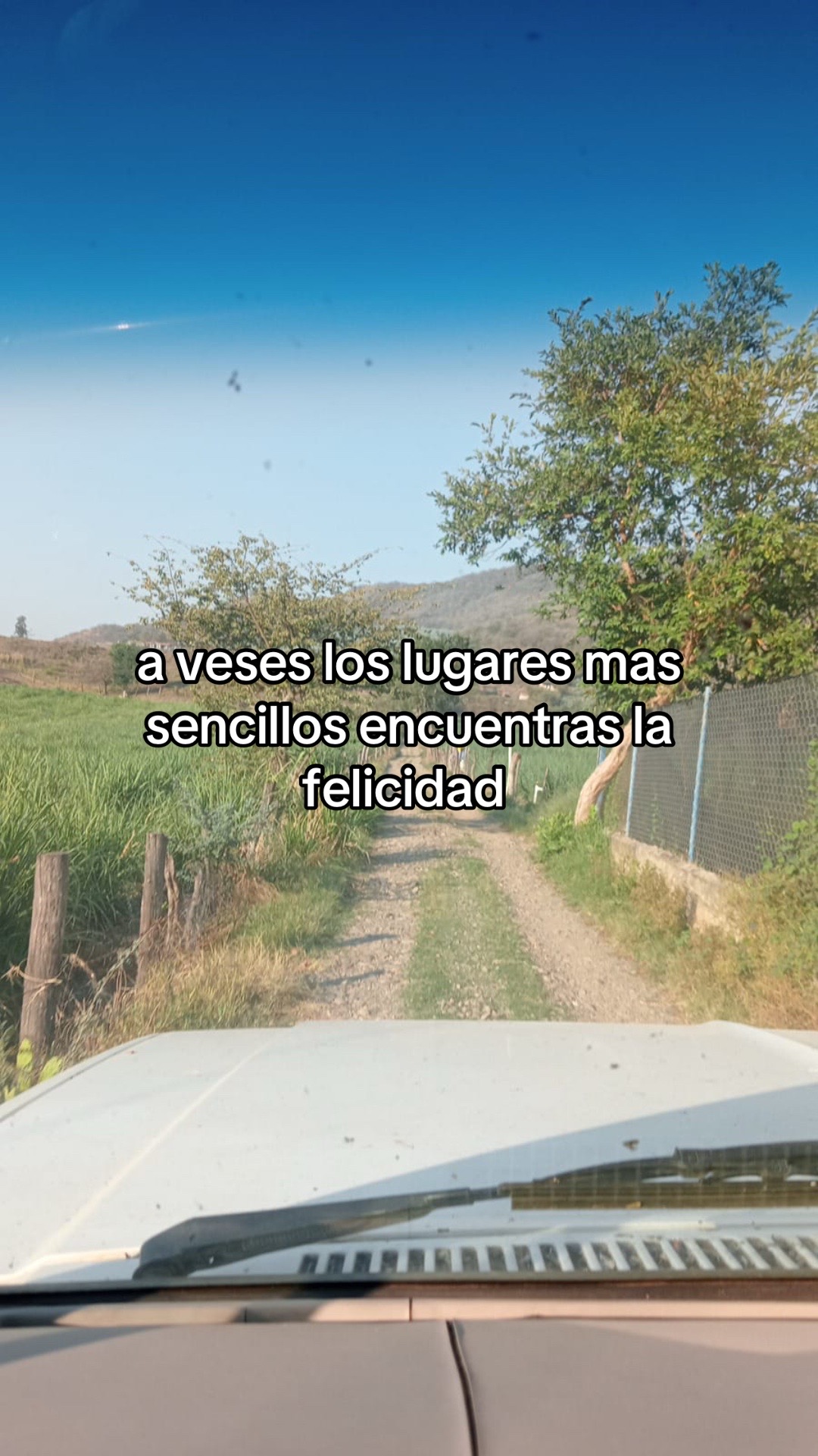 @Alex89