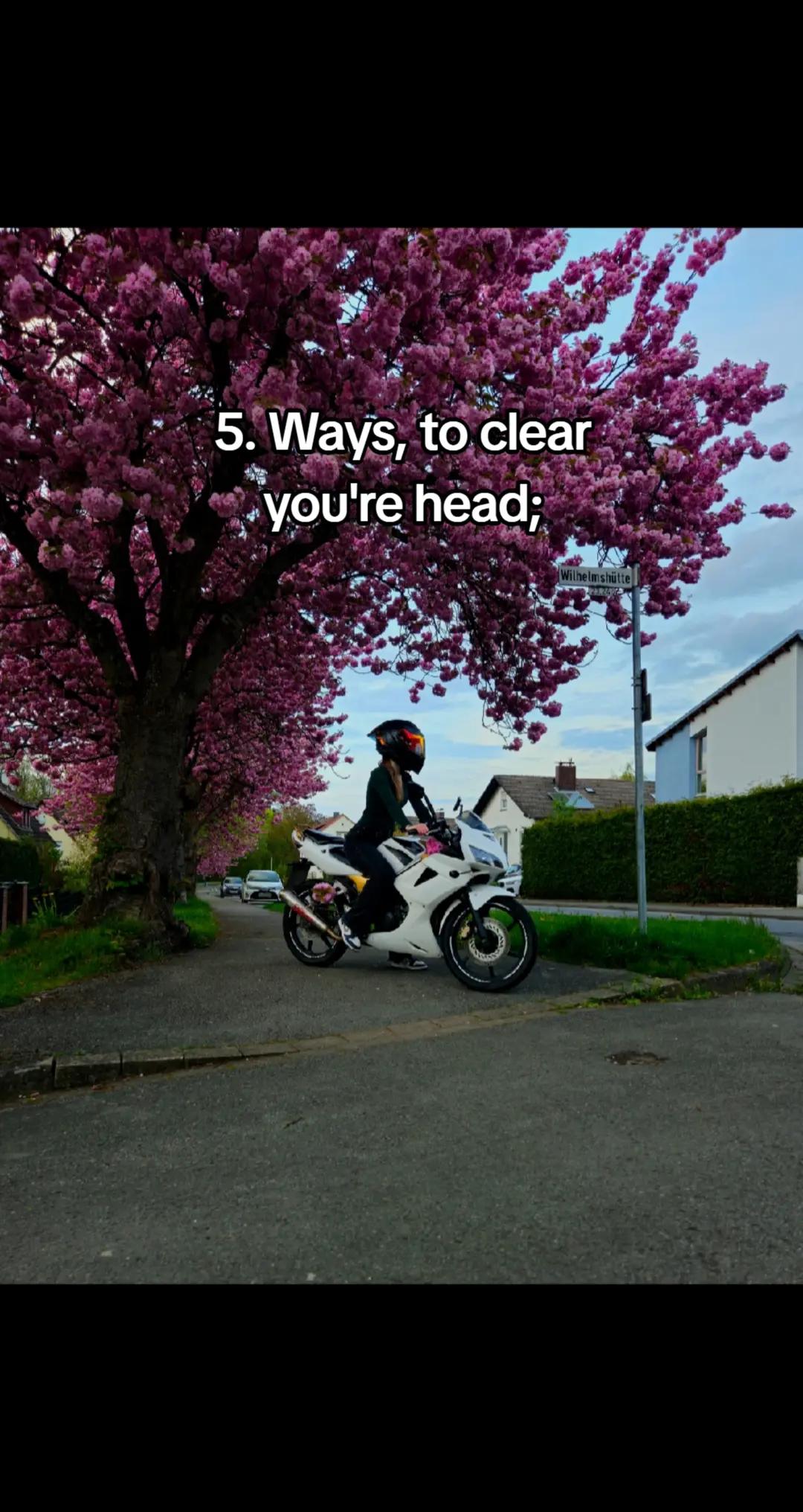 @𝕮𝖆𝖑𝖑𝖒𝖊.𝖗𝖔𝖓𝖏𝖆🏍🖤