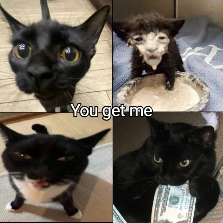 @⌗ ˙.𝓨𝐮𝐤𝐢 ! ˙. 🪻๑