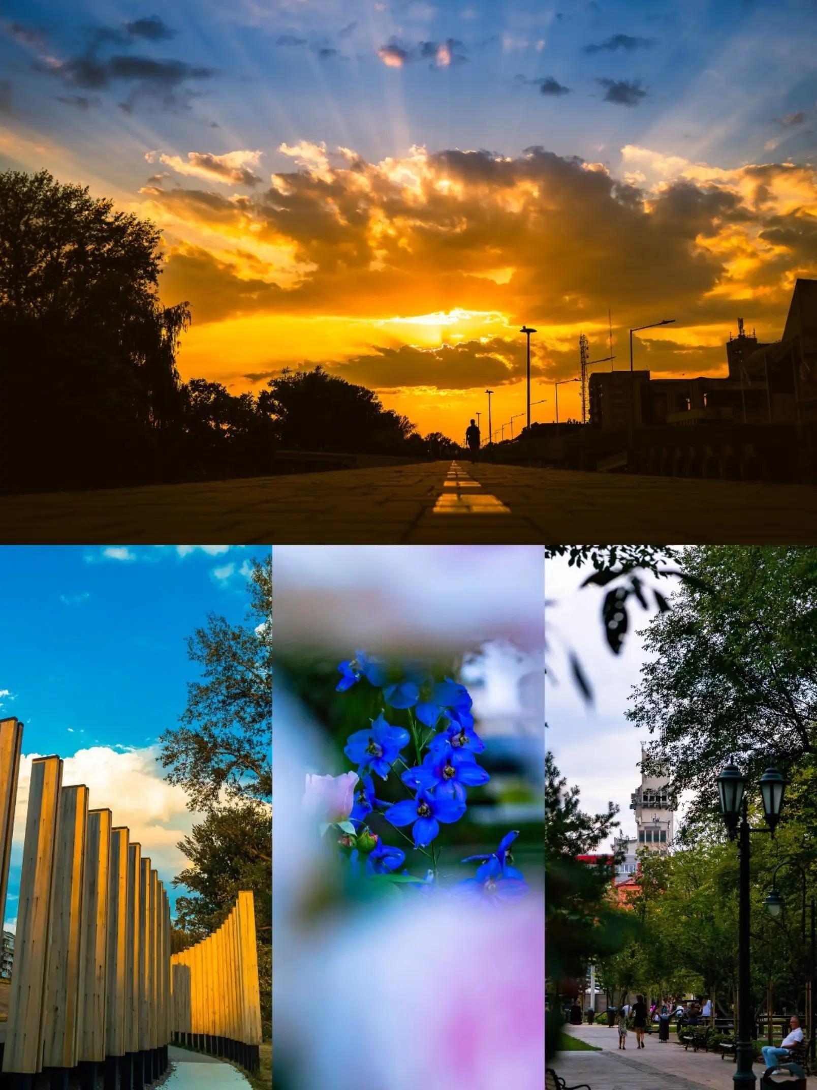 @Fotograf din pasiune 📷