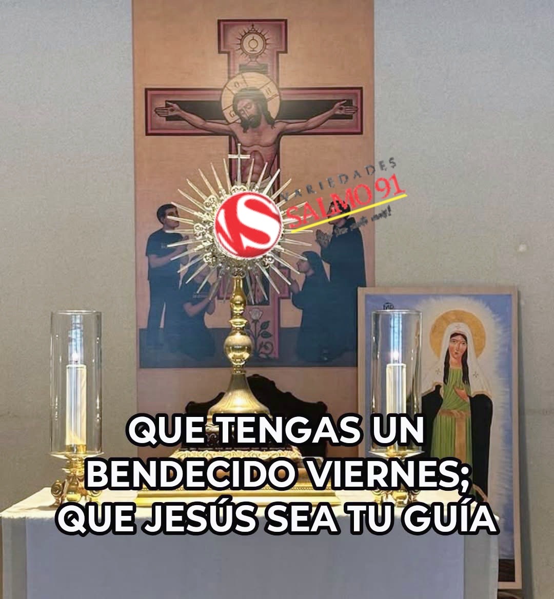 @8luisplaza8