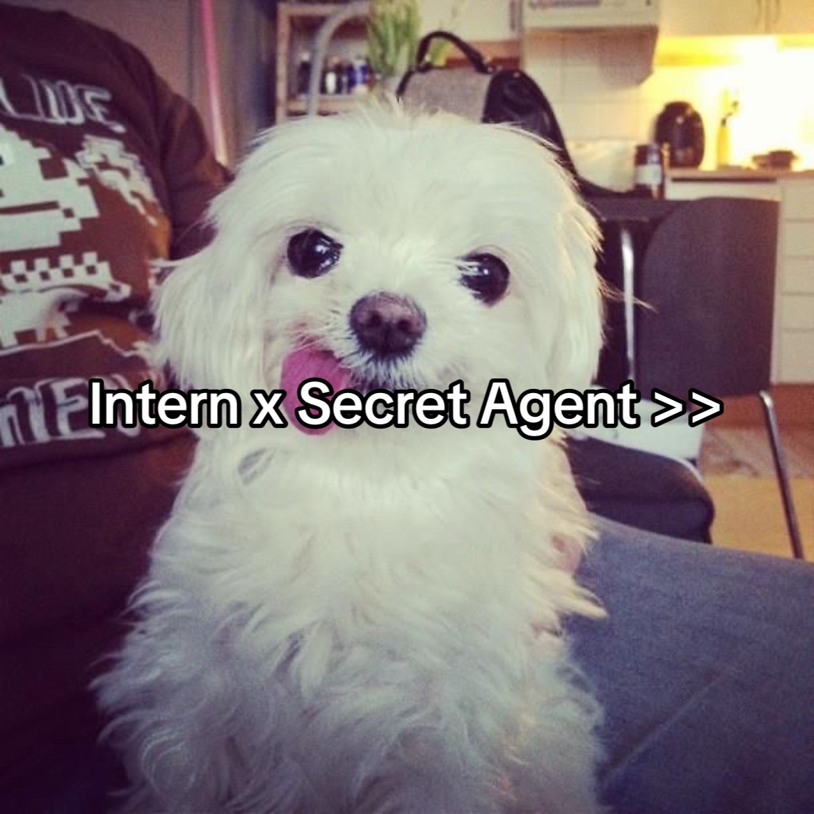 @S1N0