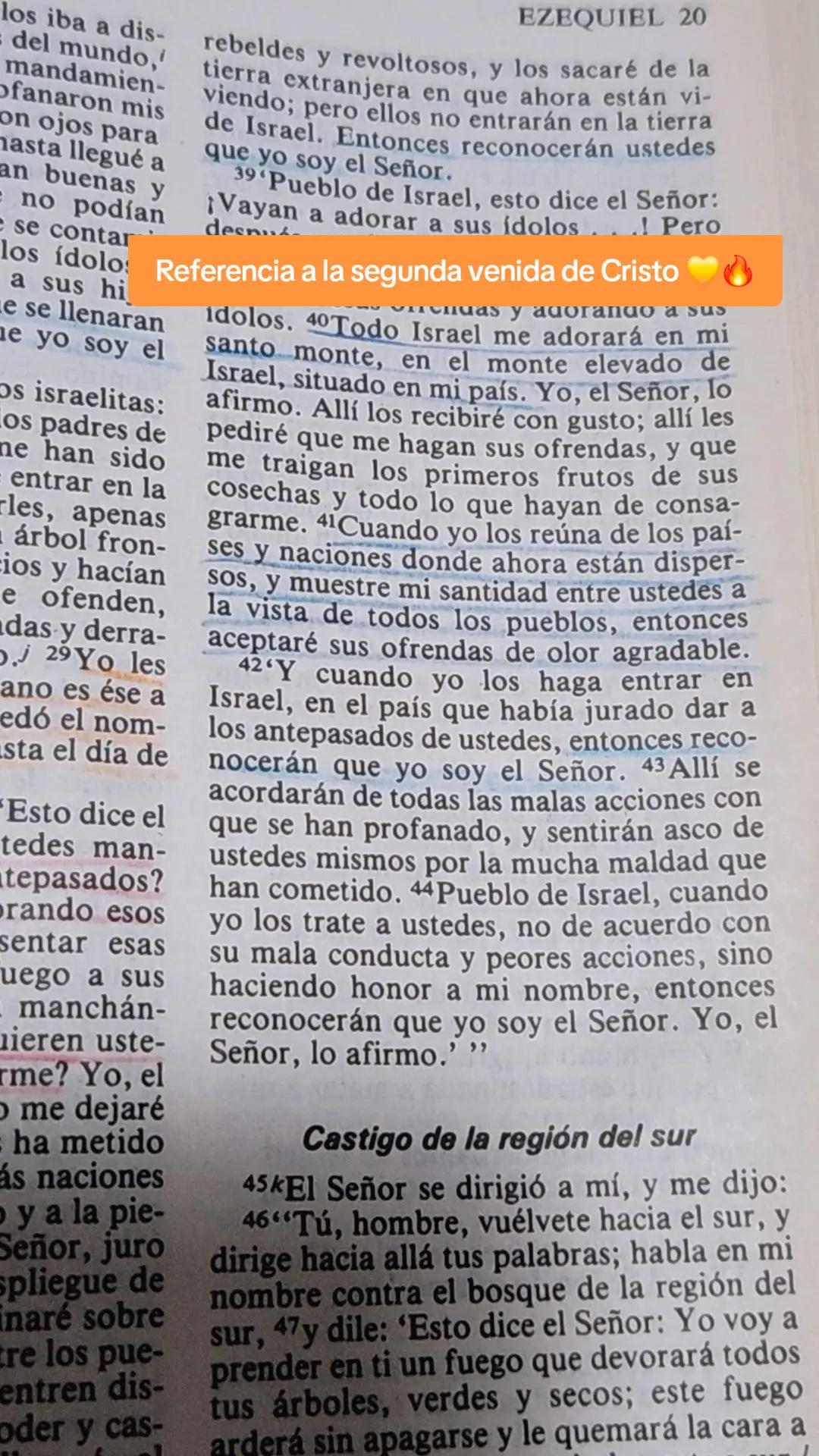 @JannetVaraOficial