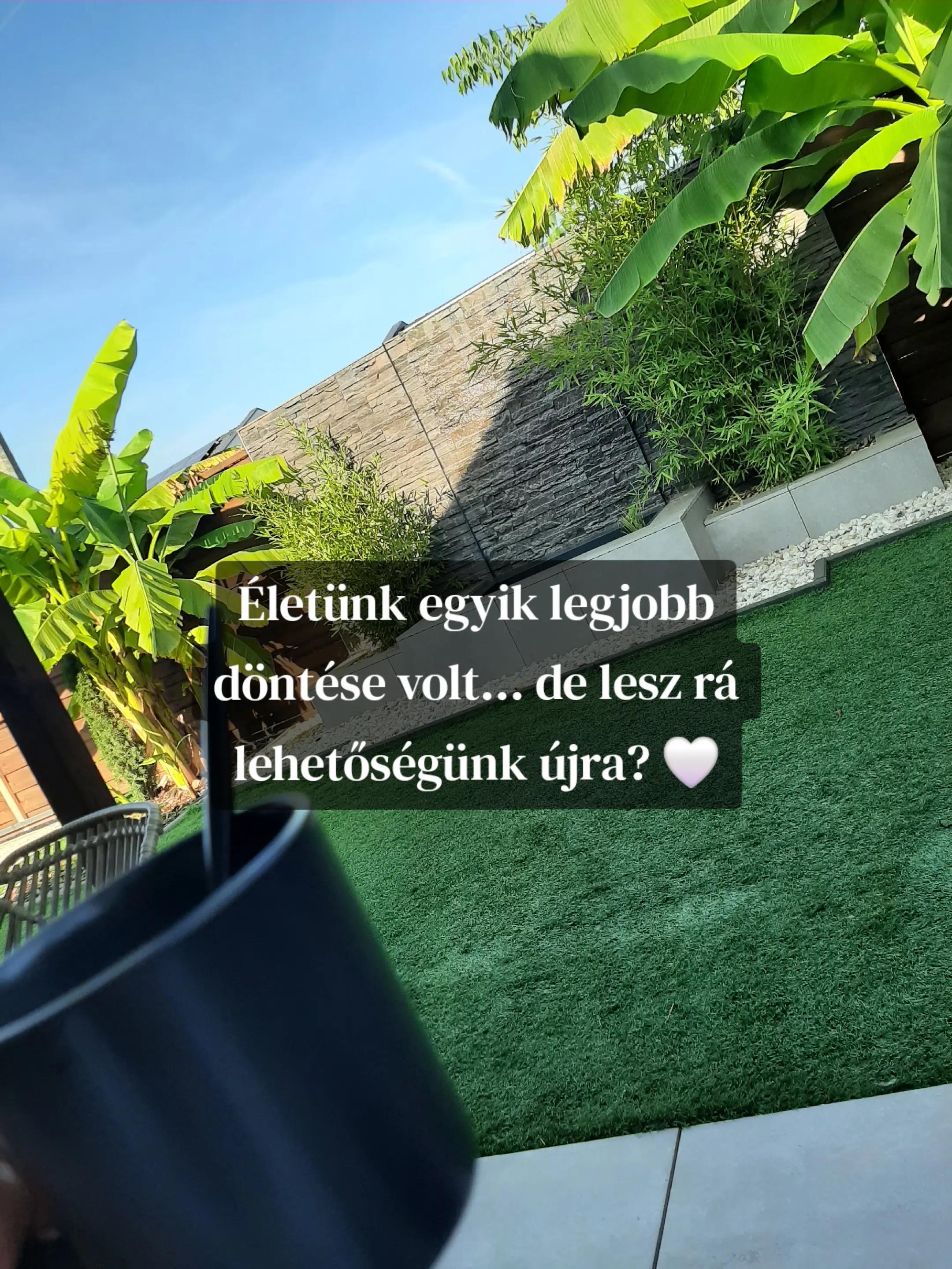 @Juh&aacute;sz-Rudnai K&iacute;ra