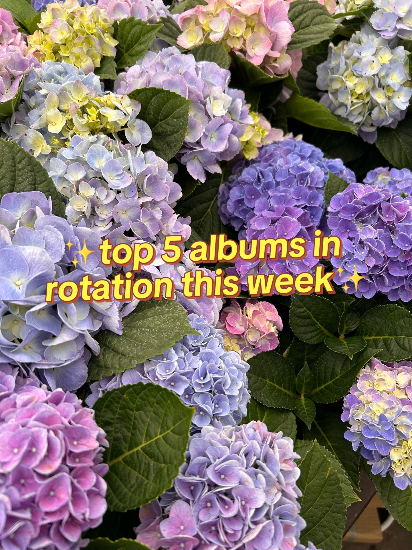 @Taylor Marie