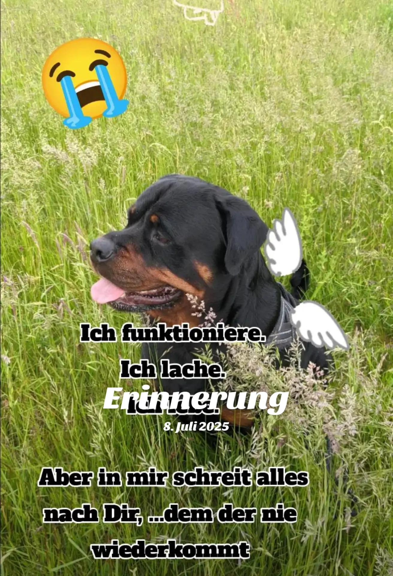 @Nicole❤️Schröder🖤Kowalski ❤️
