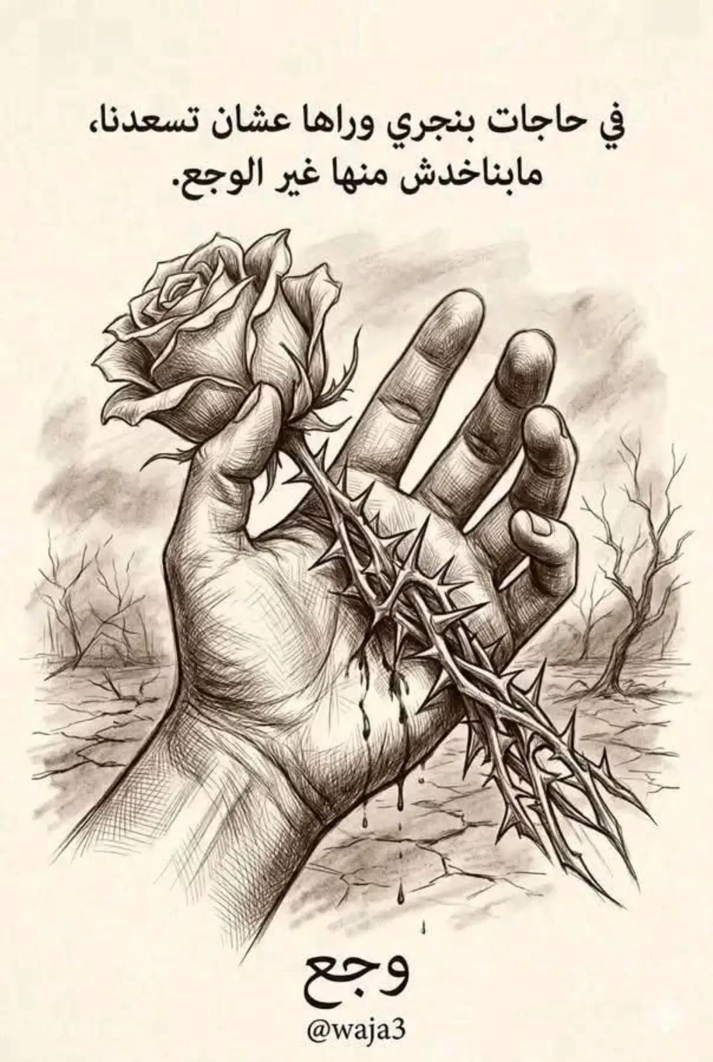@Bahaa Ezat