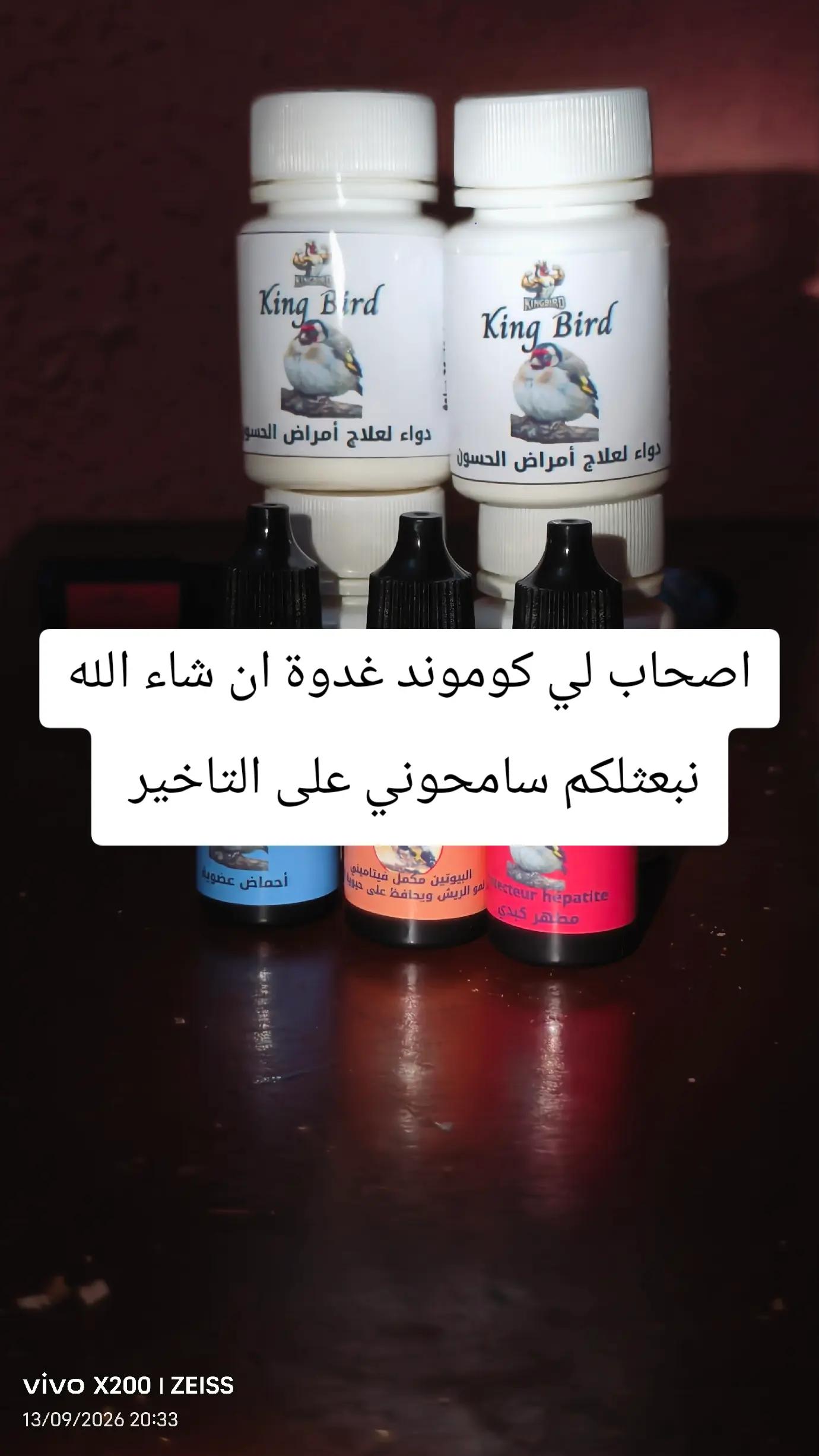 @King Mohamed 🐦