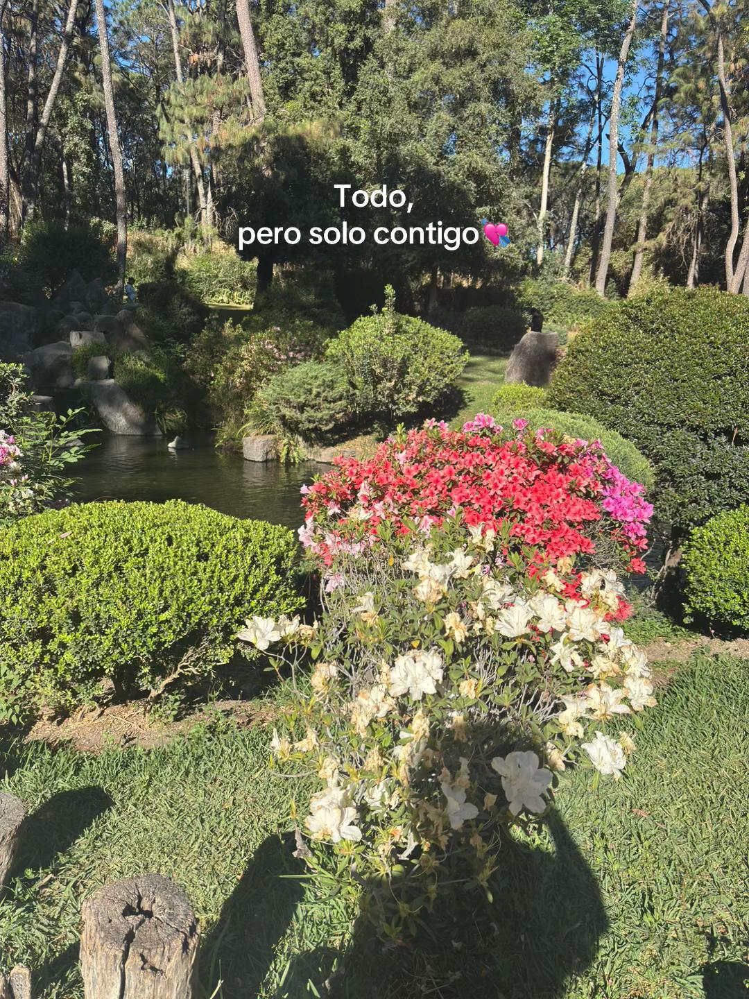 @_un_chico_rotoo
