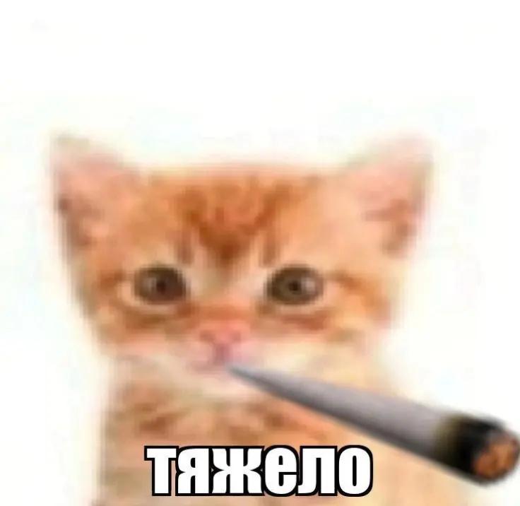 @ритуля