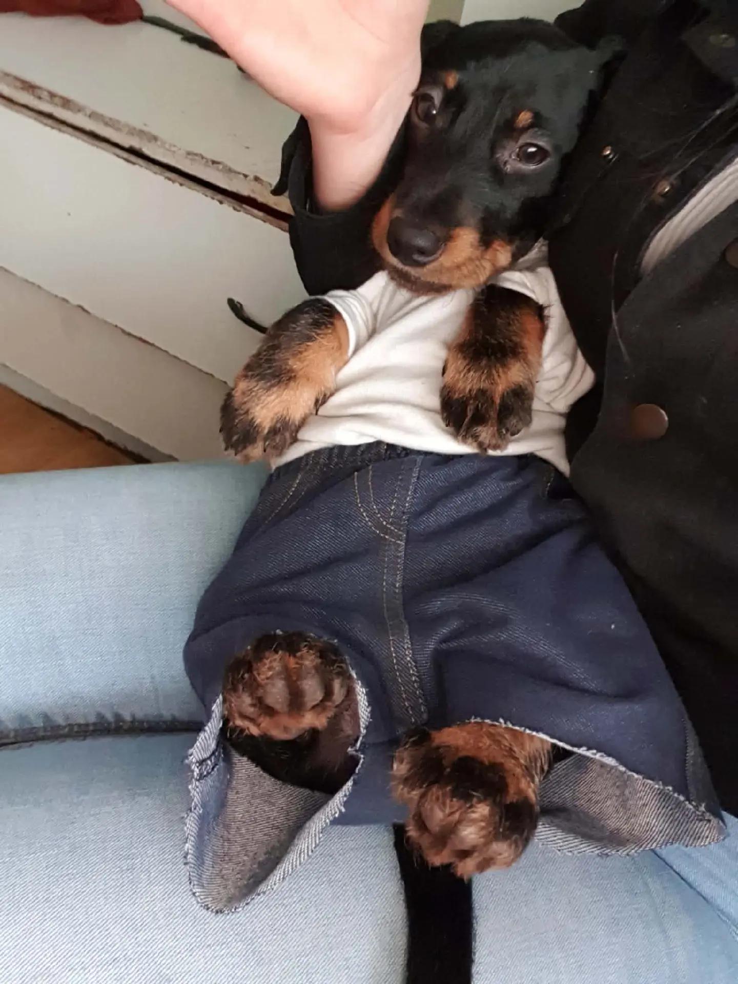 @Ricsike Frankó♥️