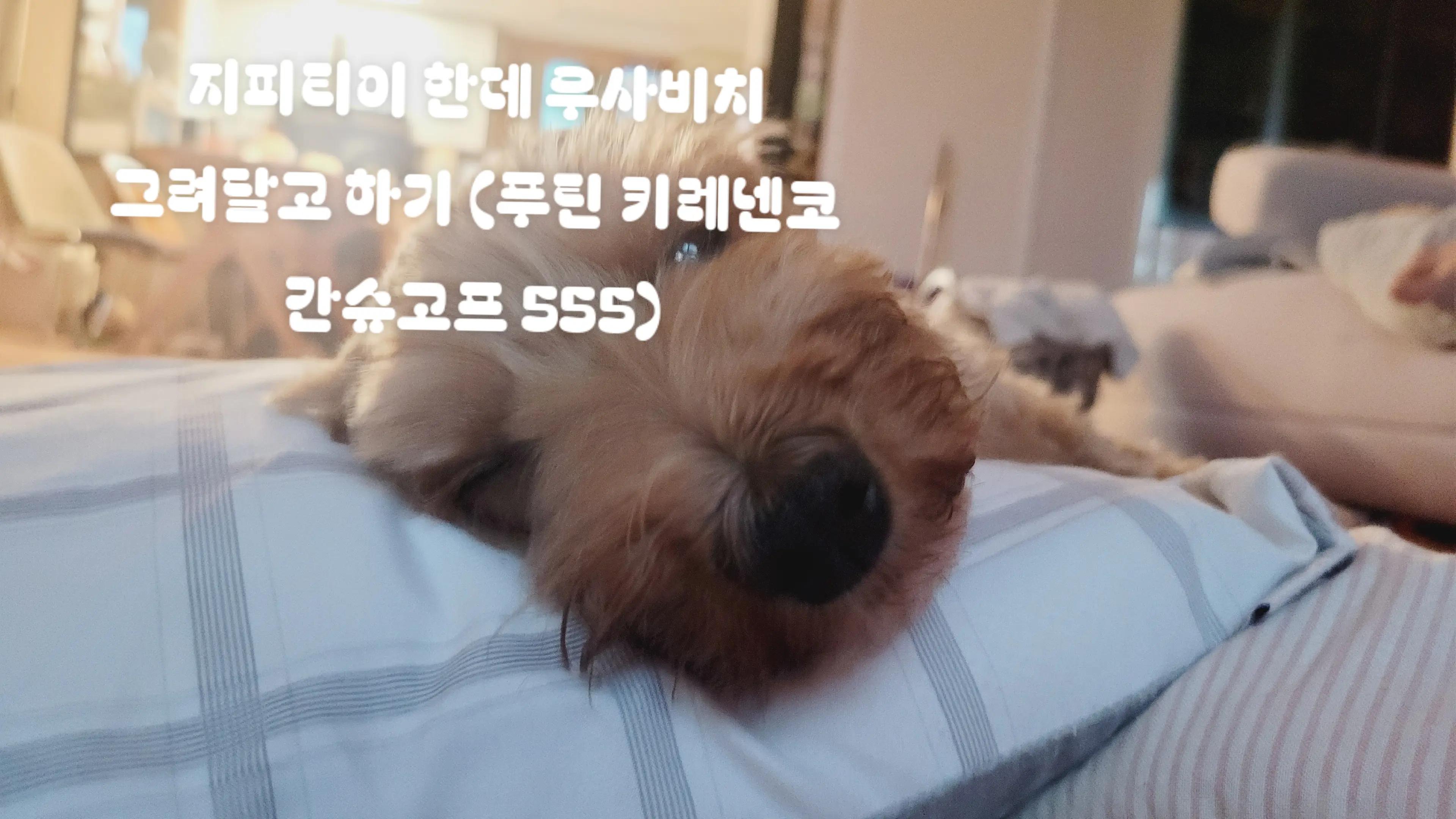 @셋카키 유키(자캐)