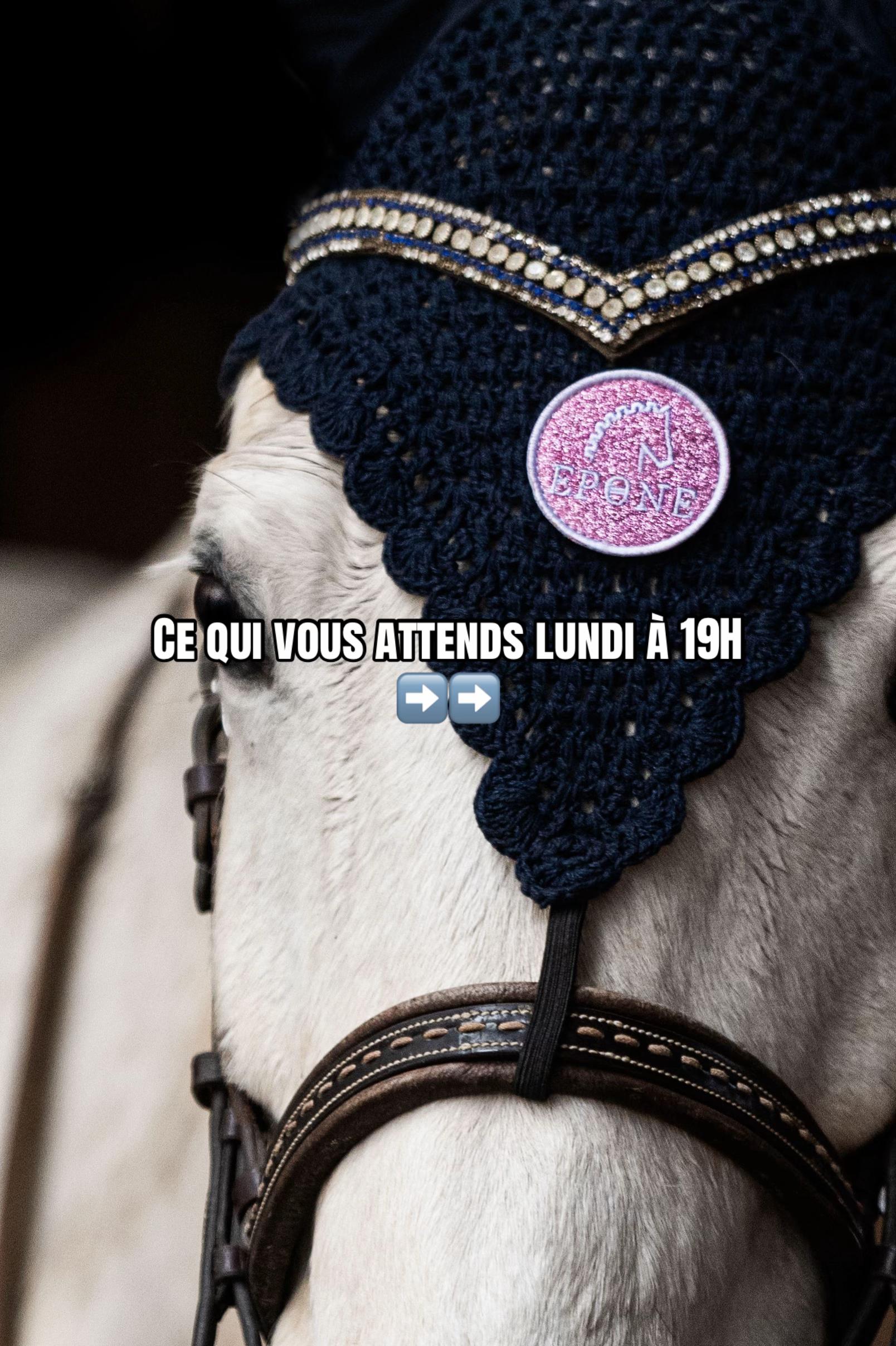 @Epone Equitation