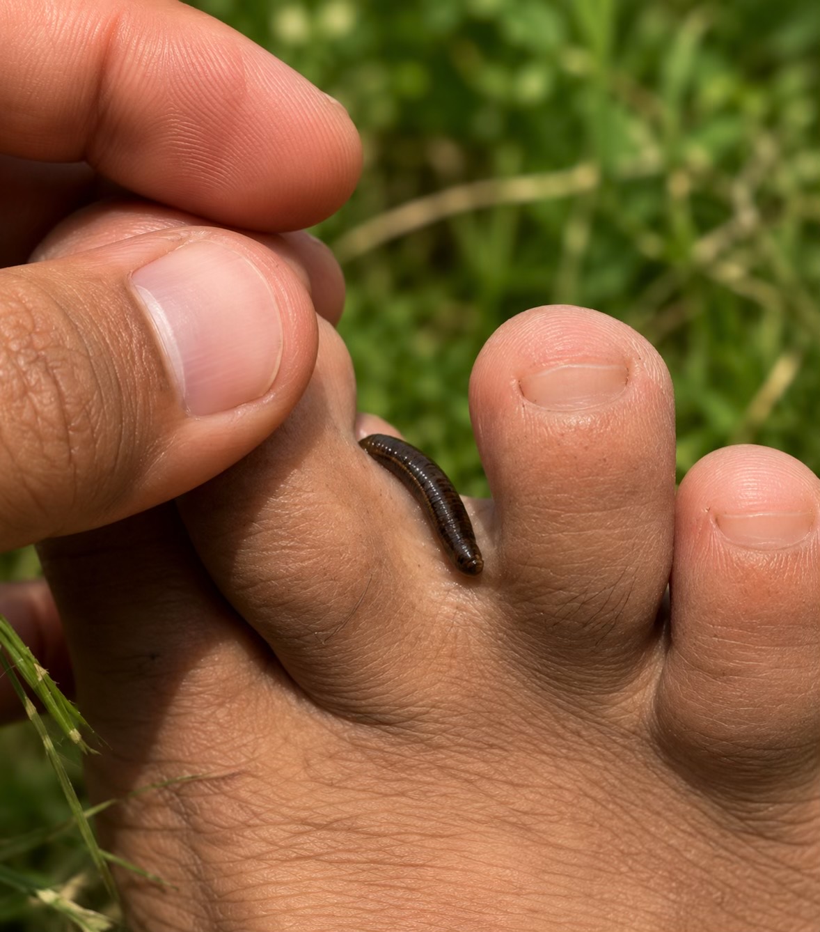 @ꔪᏒᴜᴍʙᴀ official 亗 🦋💫