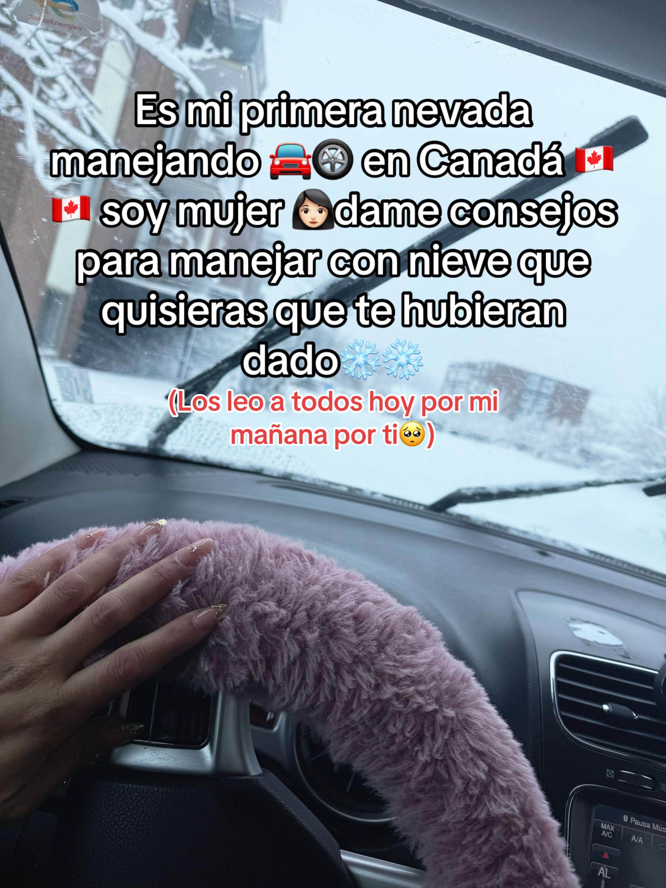 @Lamaracucha_02