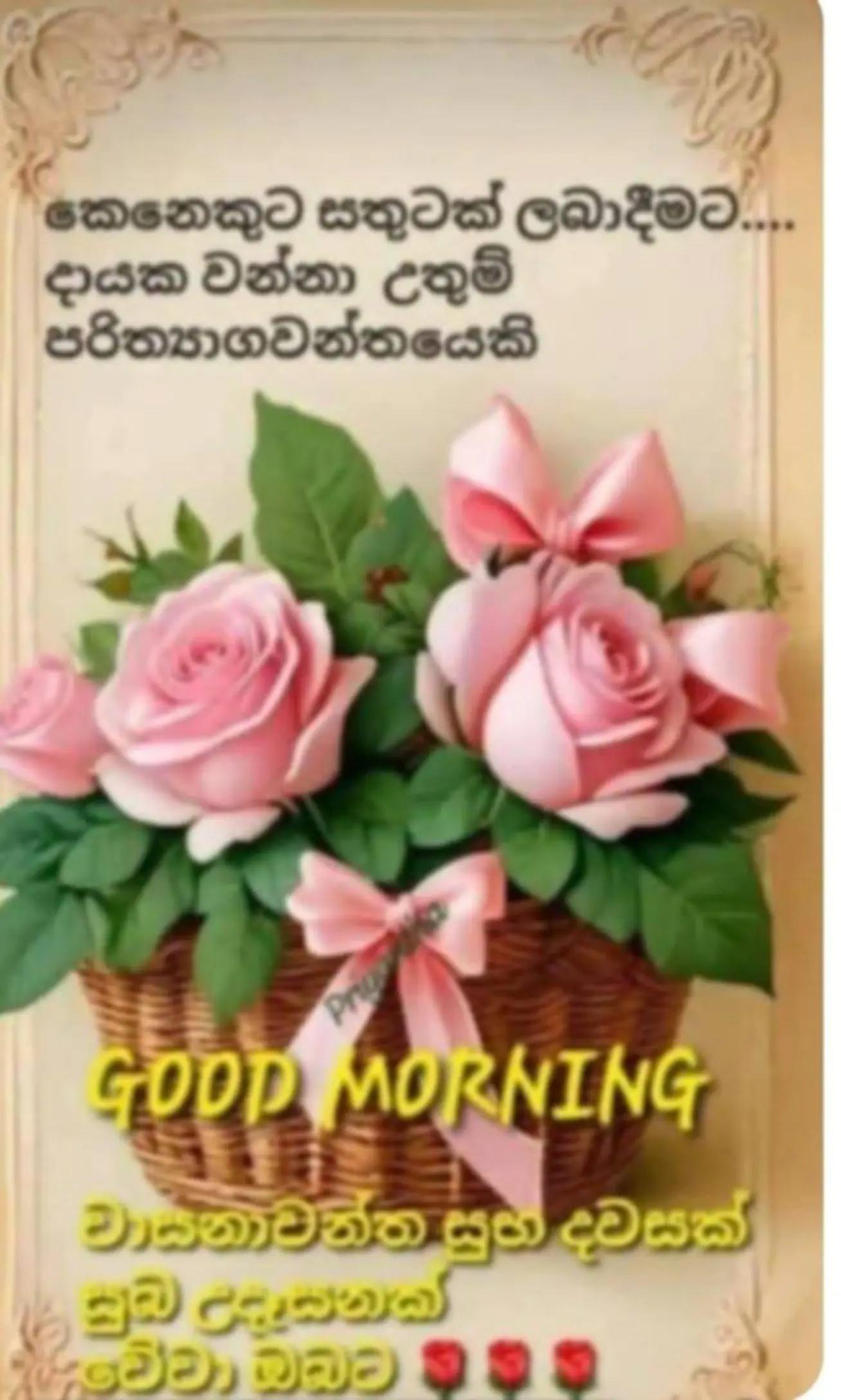 @prasanna