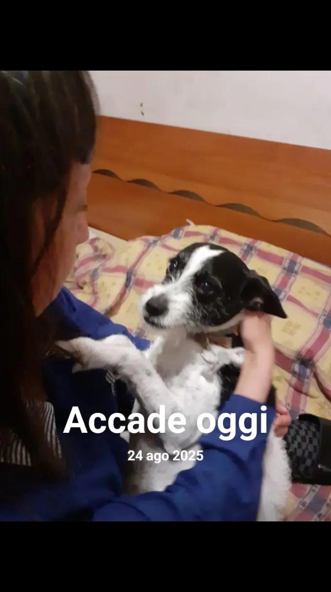 @Roberta
