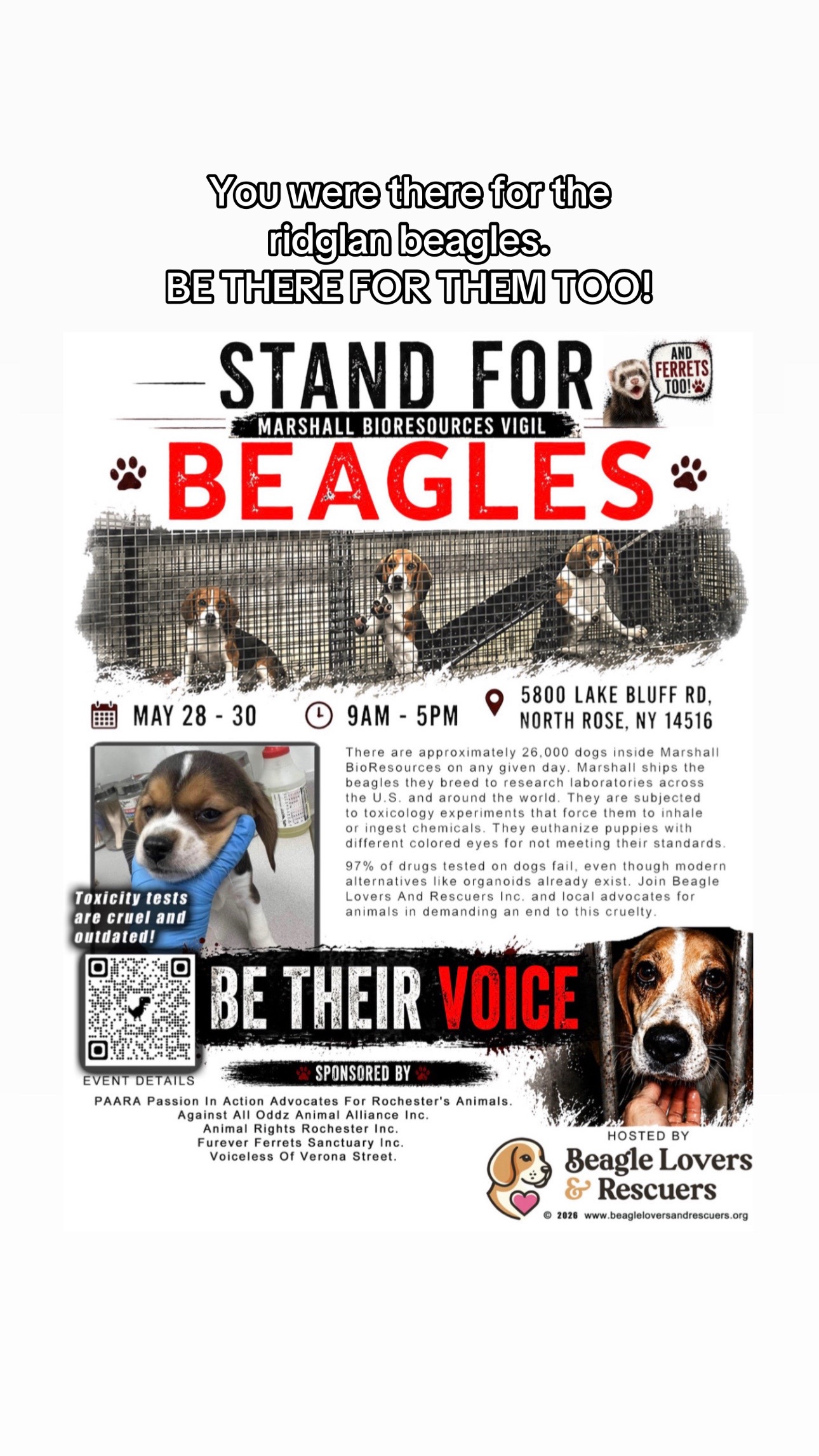 @animalrightsdaily