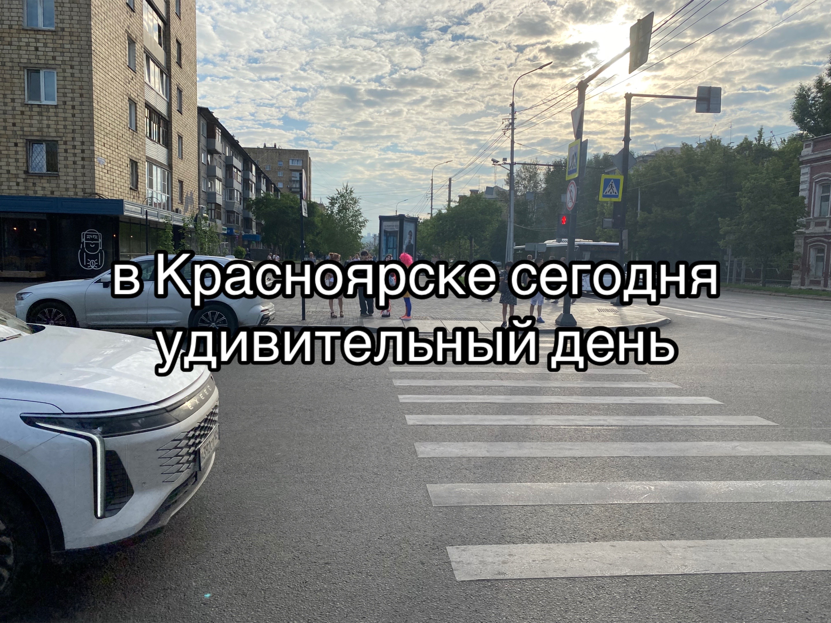 @змеюка миядзава