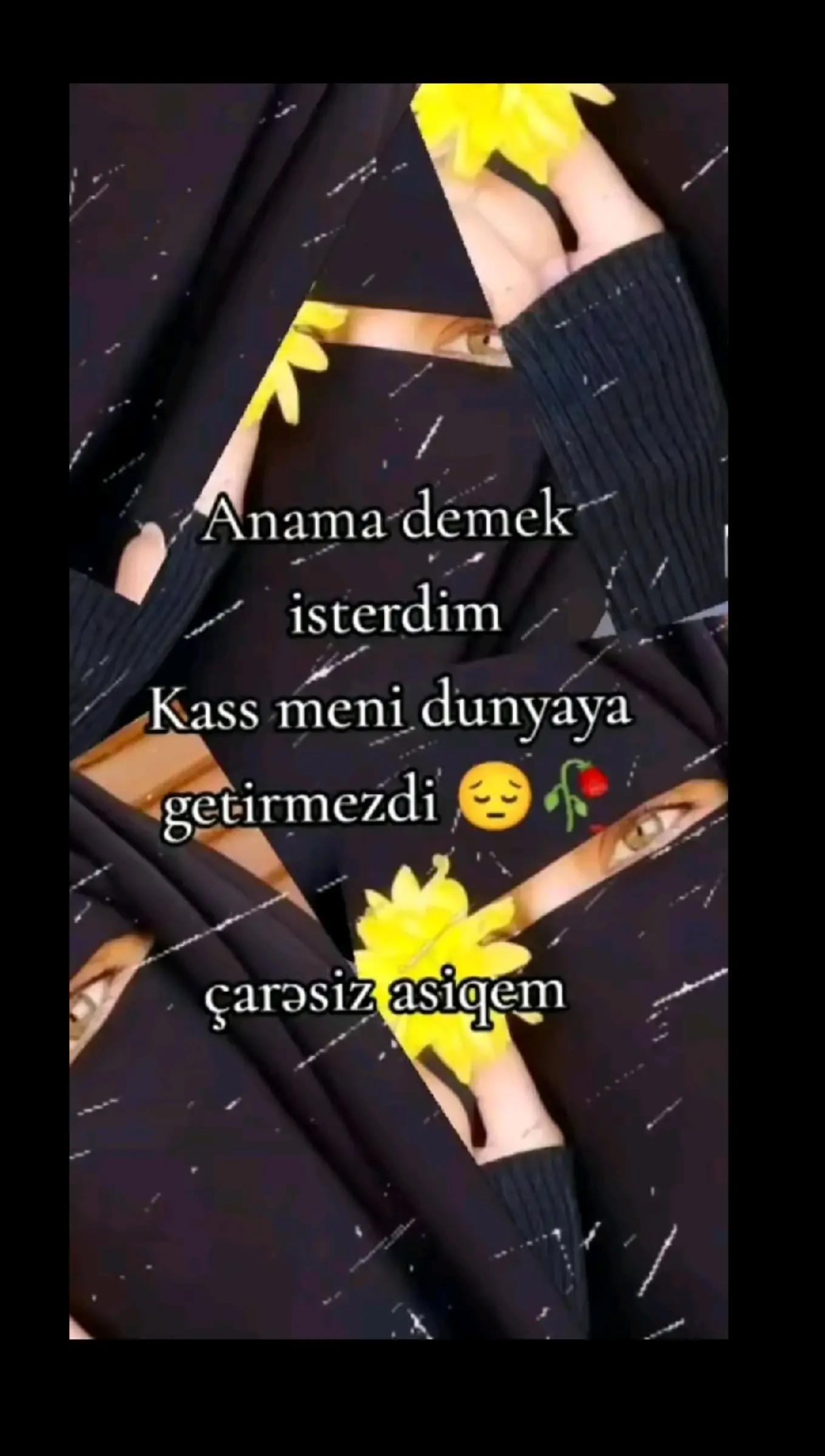 @eliyeva