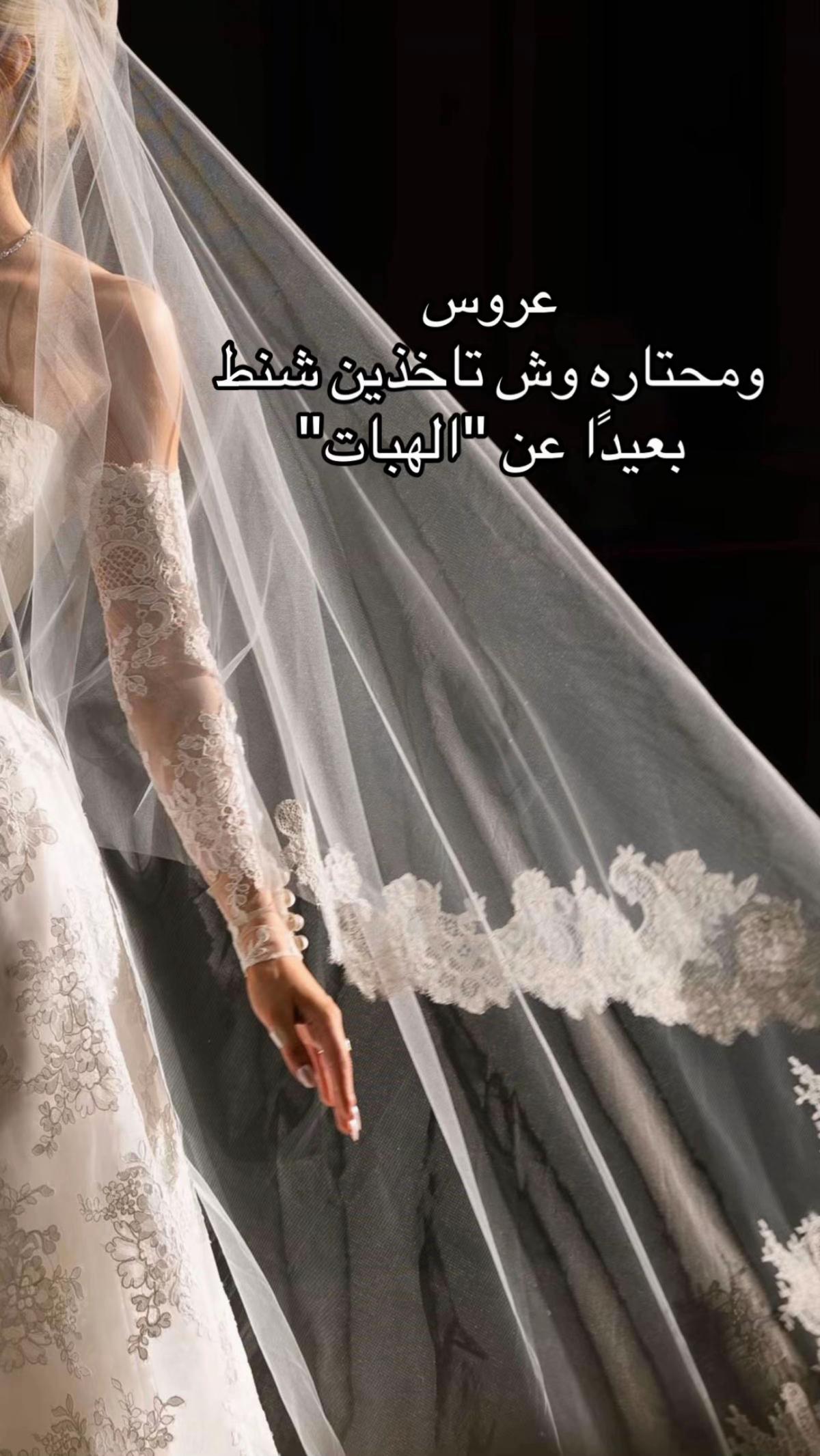 @@alanaqah2020