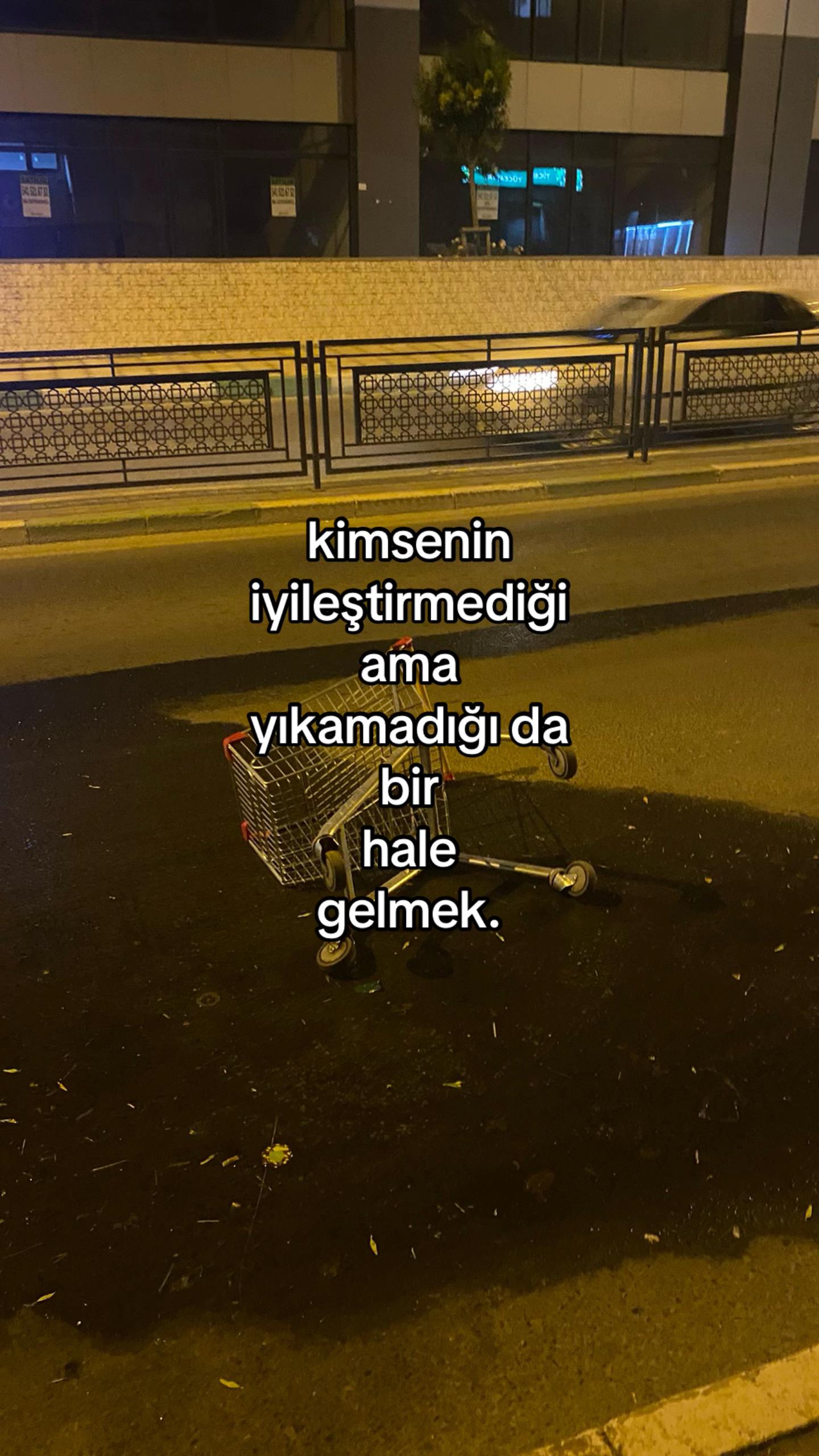 @gülse🦈