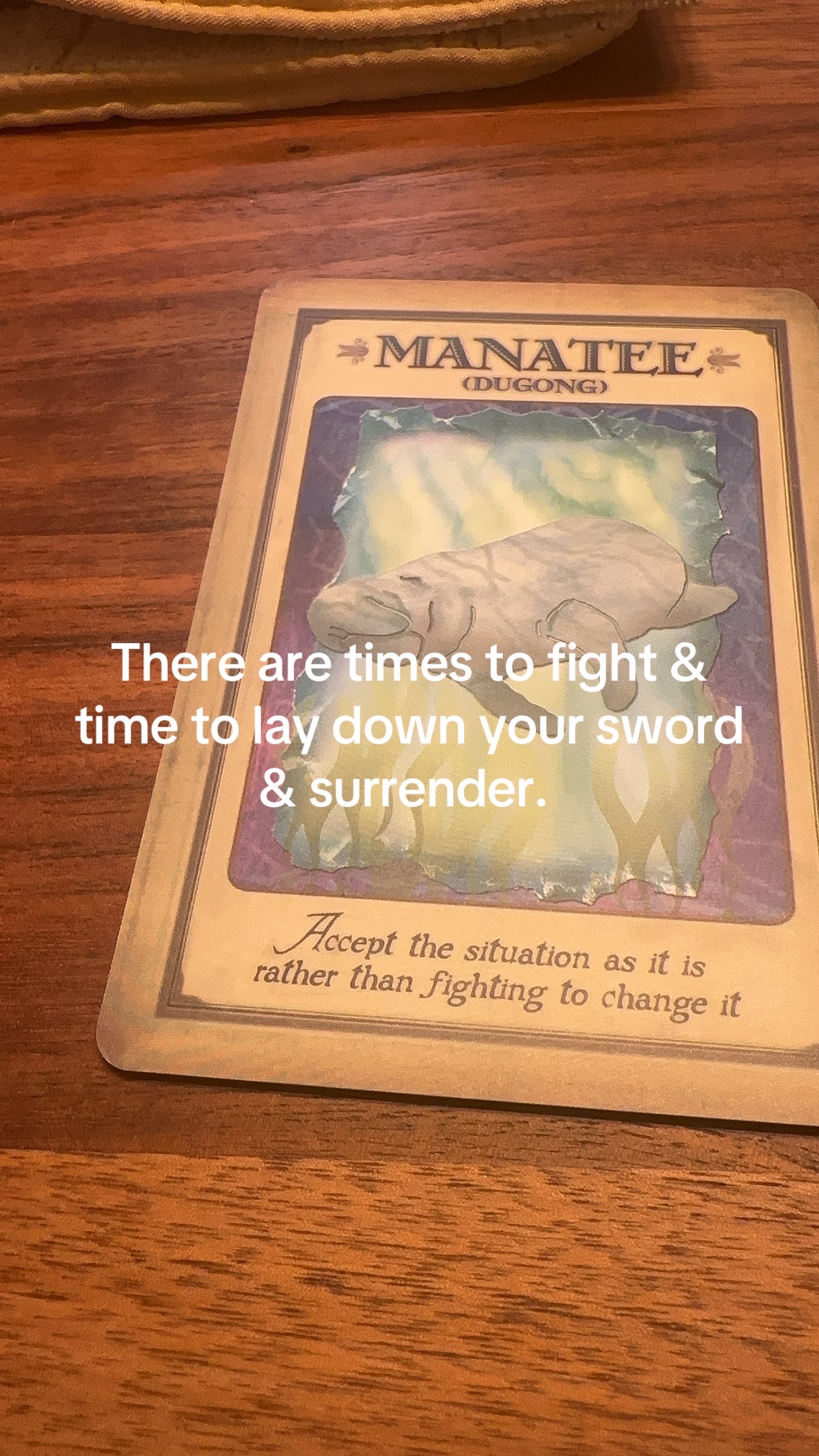 @insightfultarotwithshell