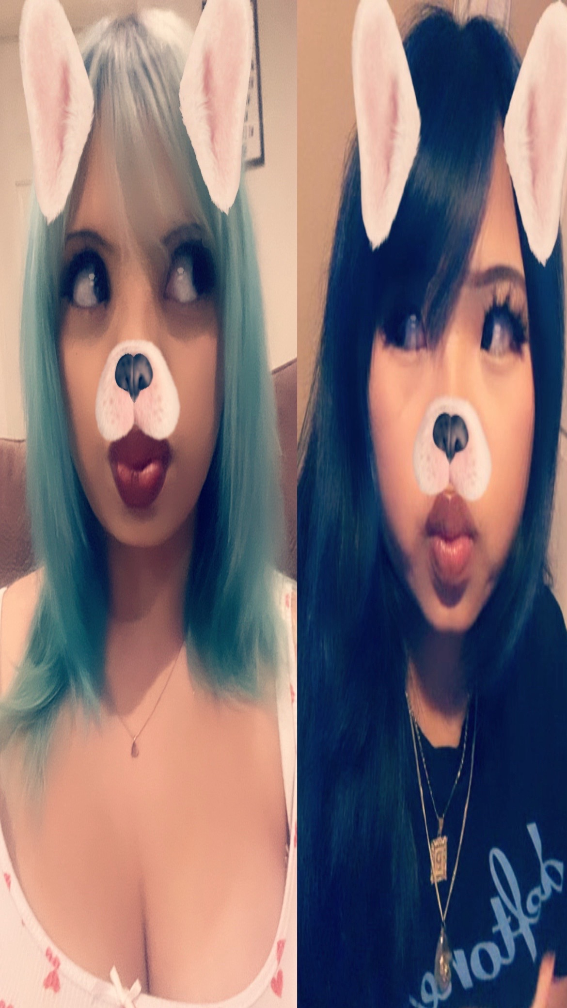 @fuzzball