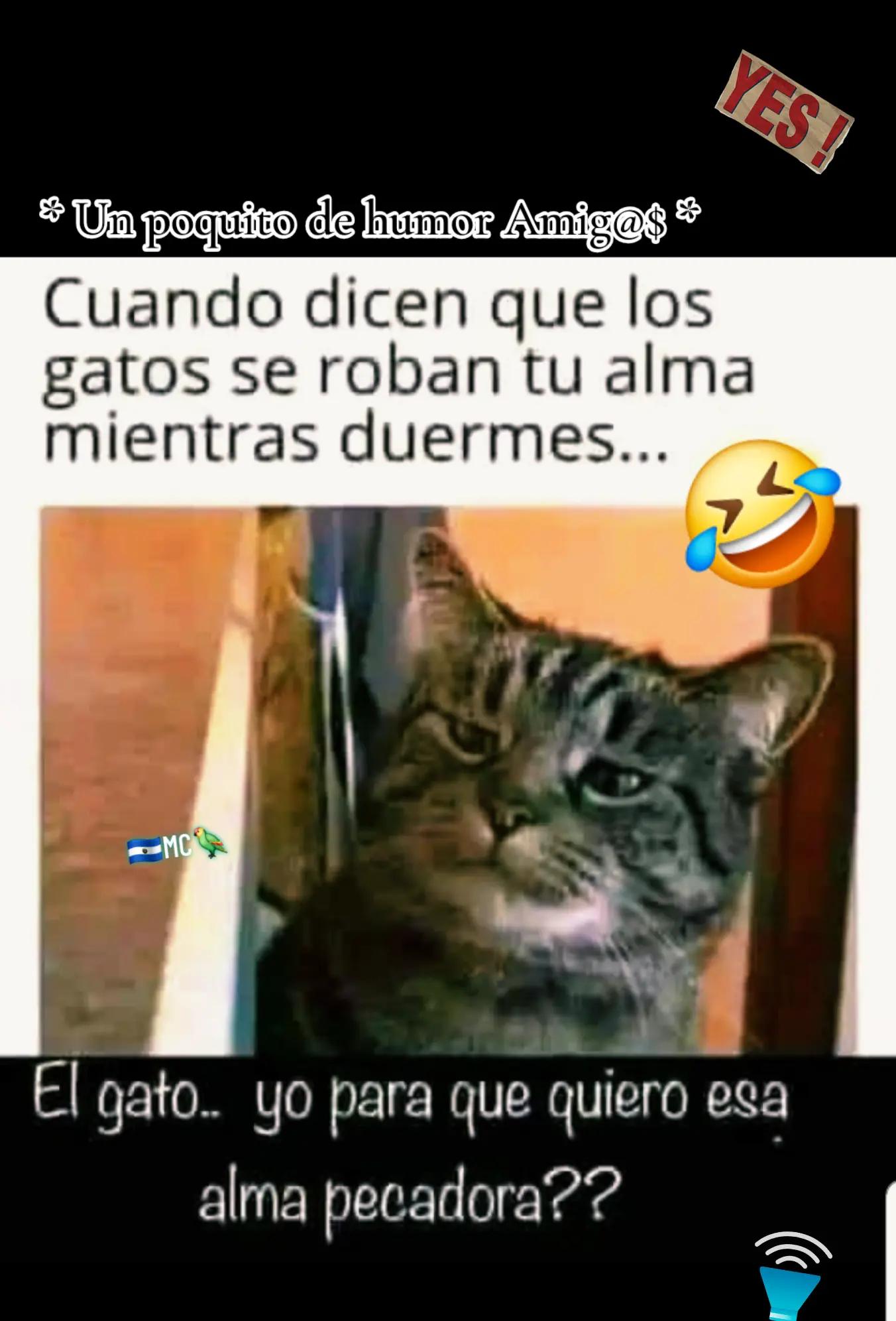 @montoyacharley