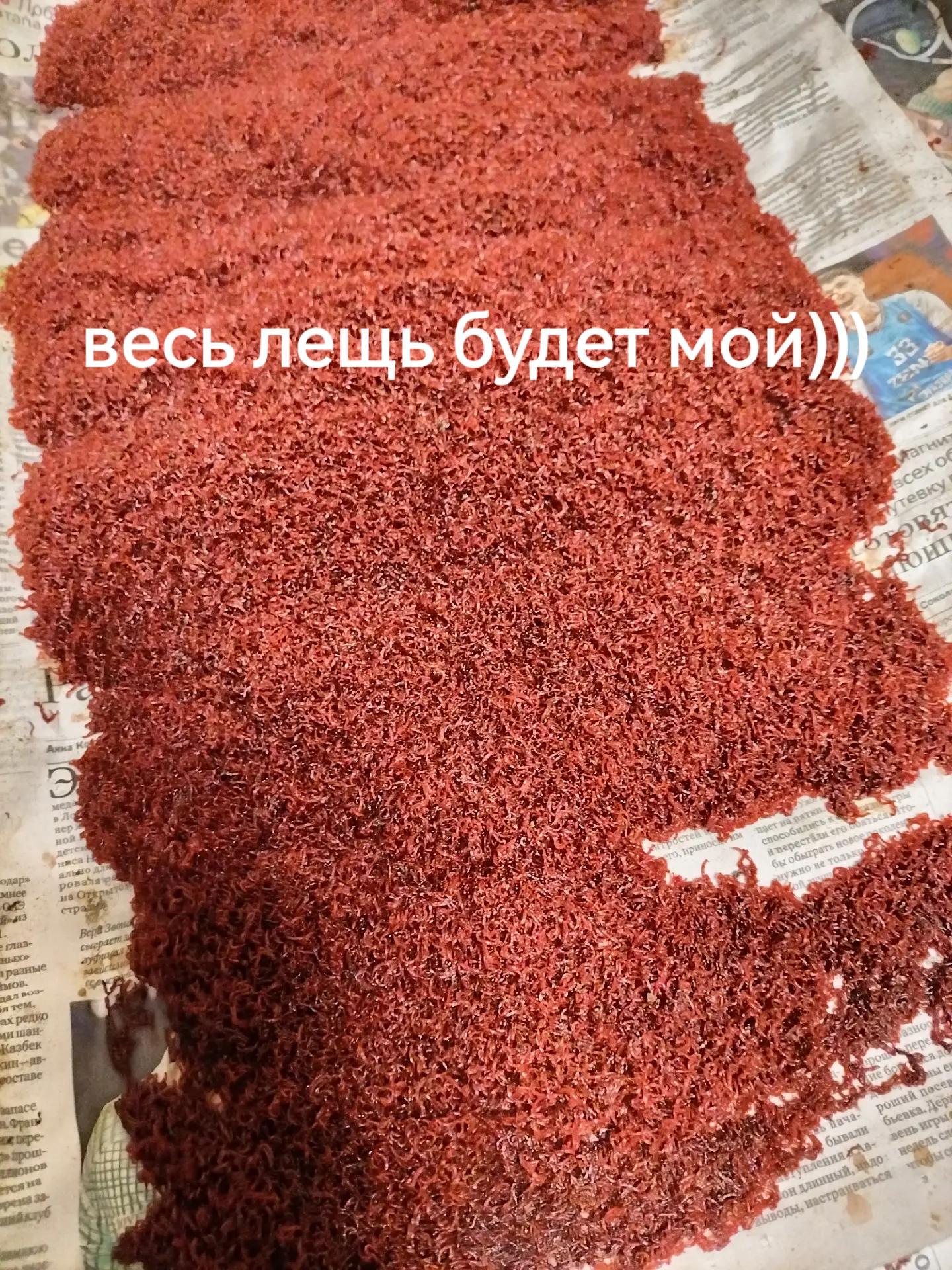 @рыб@чок