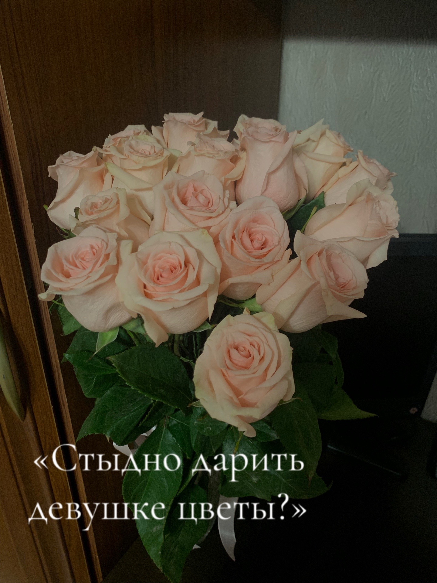 @qwrrr