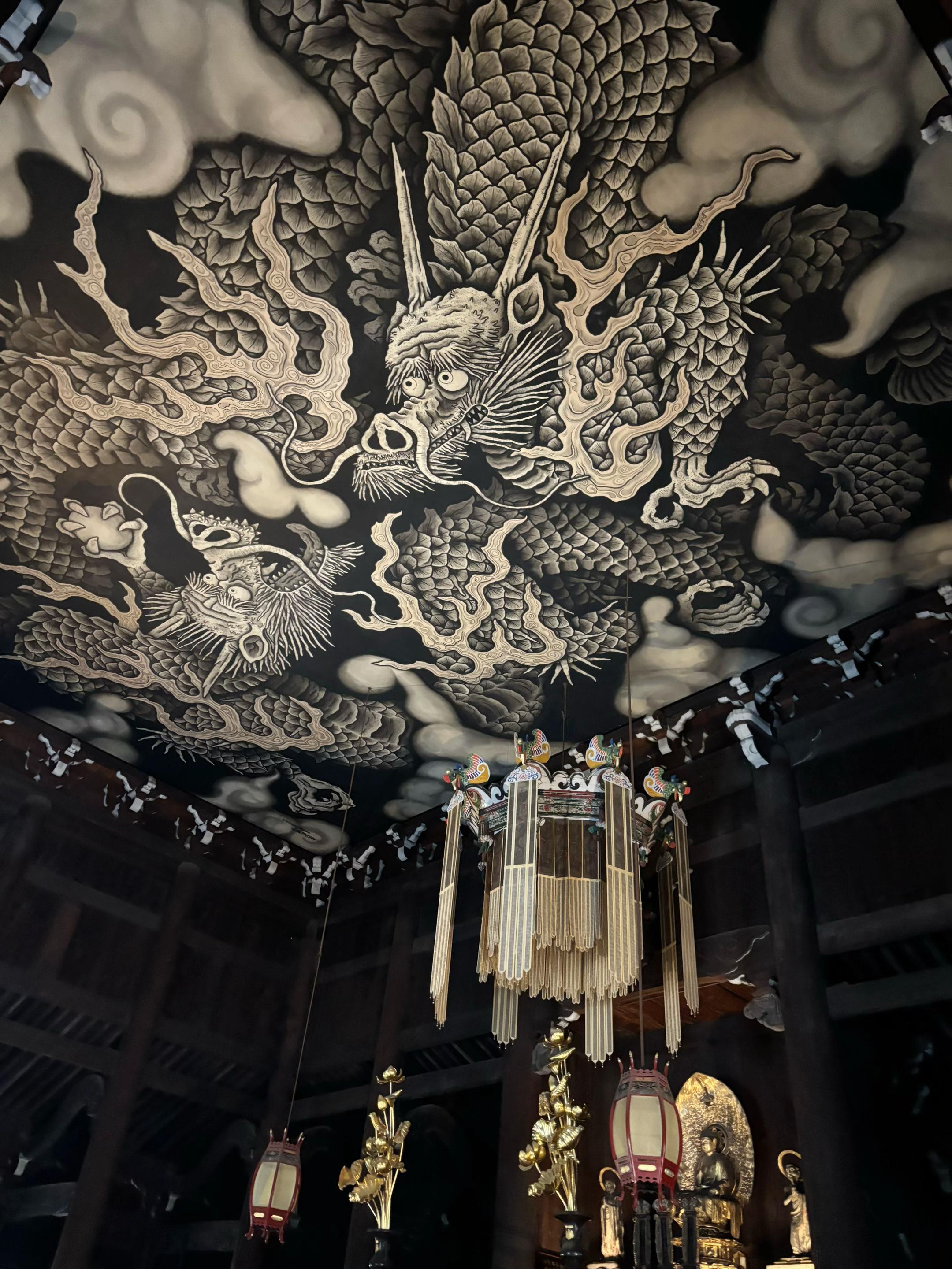 @Ryu(龍)🦋