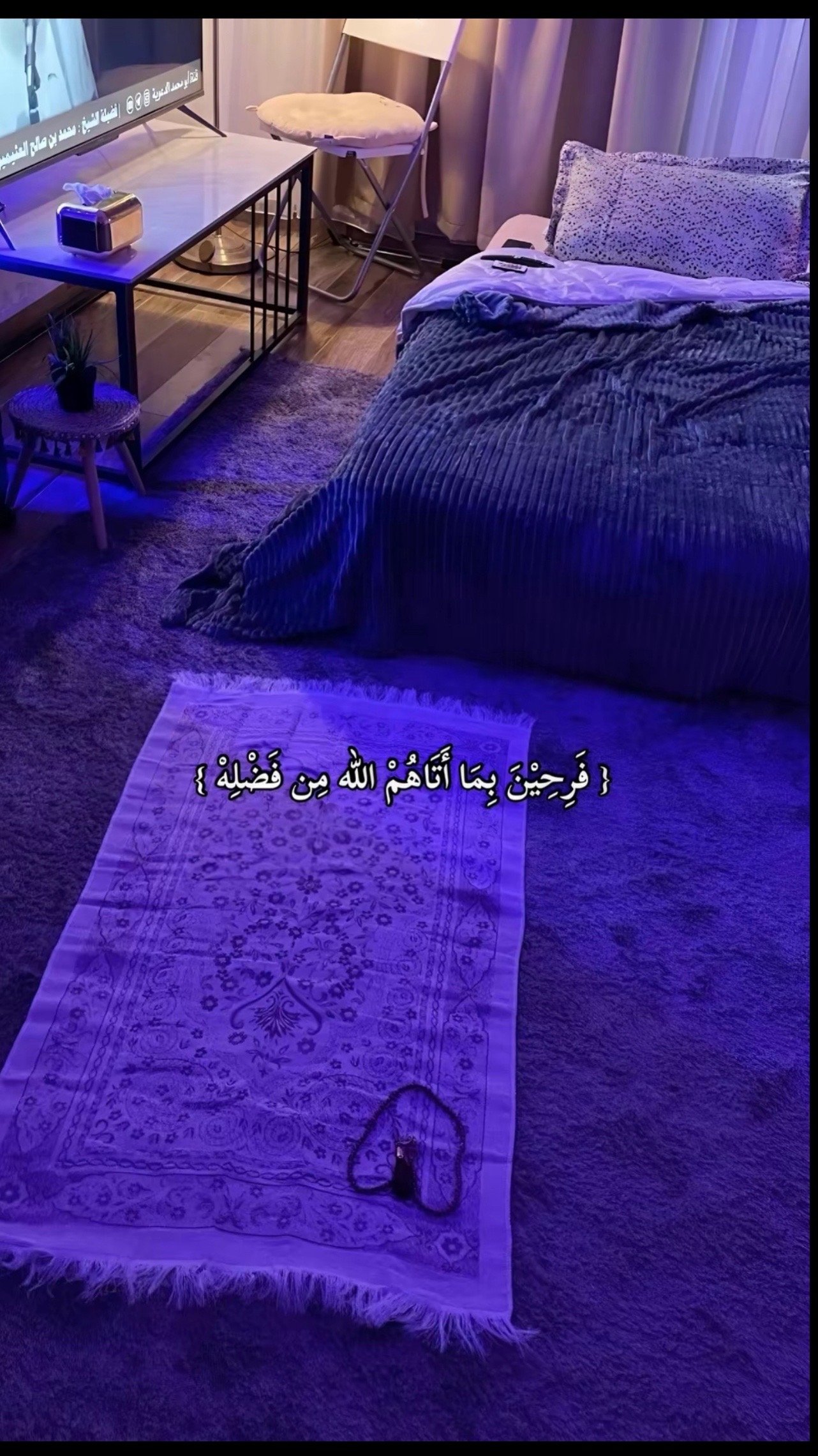 @🇸🇦&Ecirc;Mŷ🇪🇬