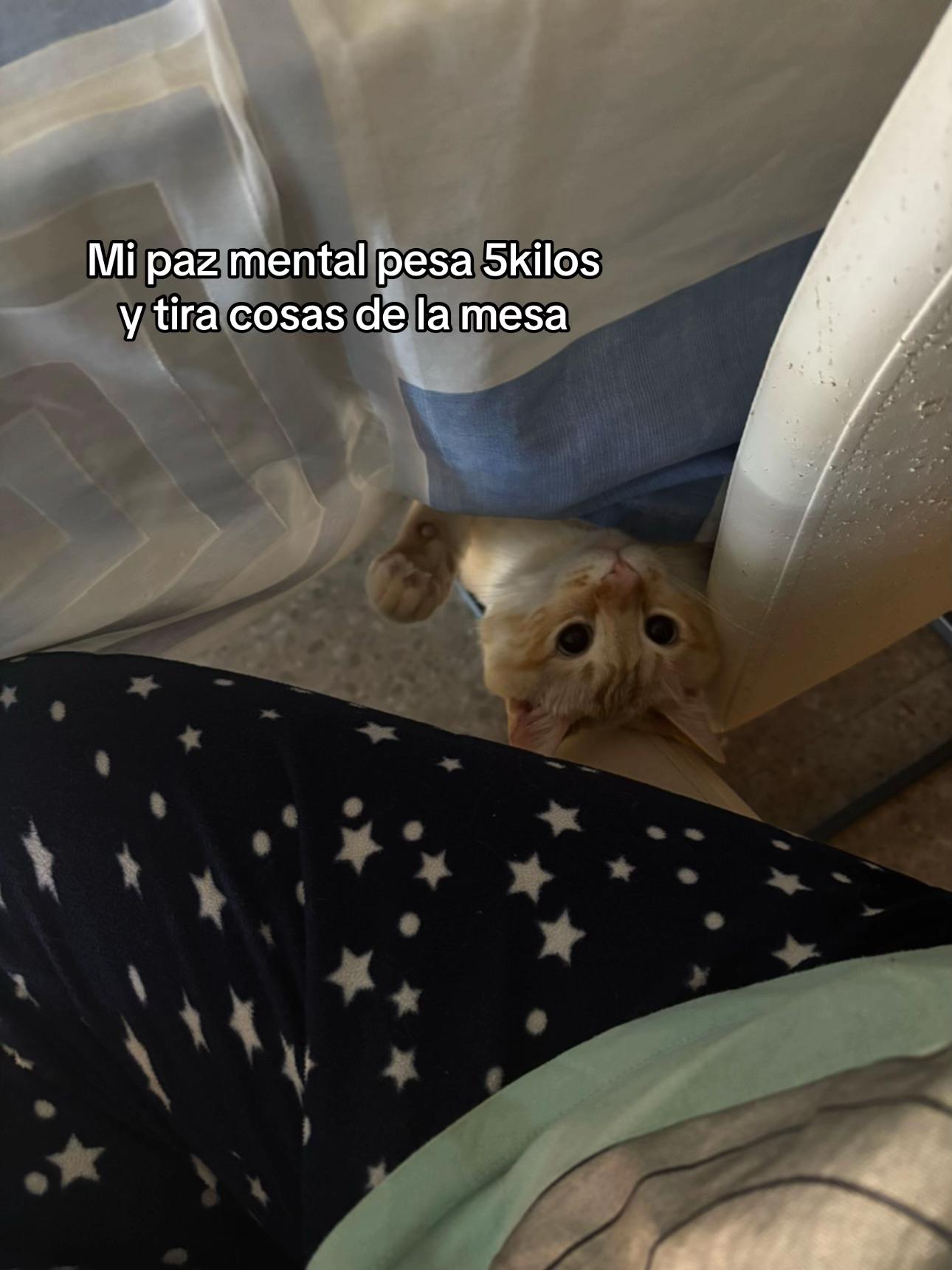 @Estefanía🥀
