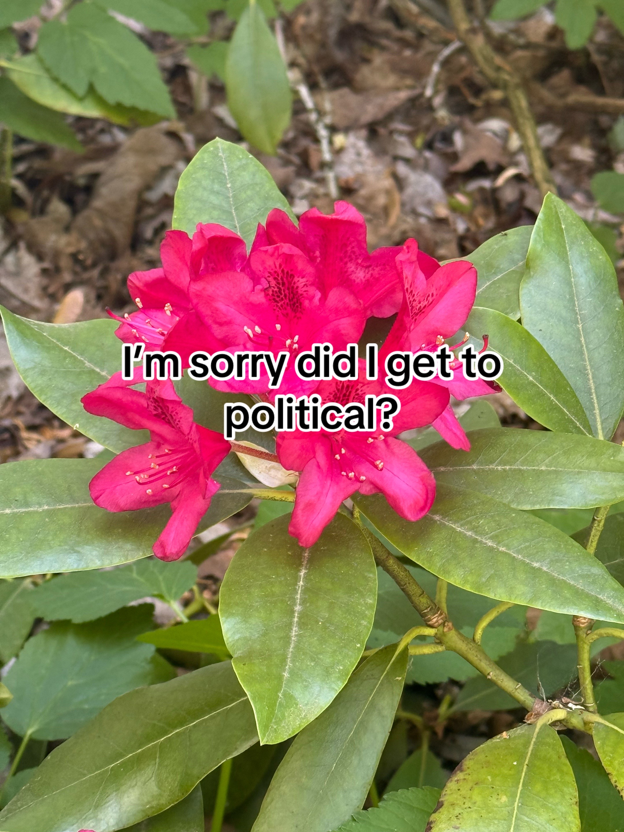 @๐๐