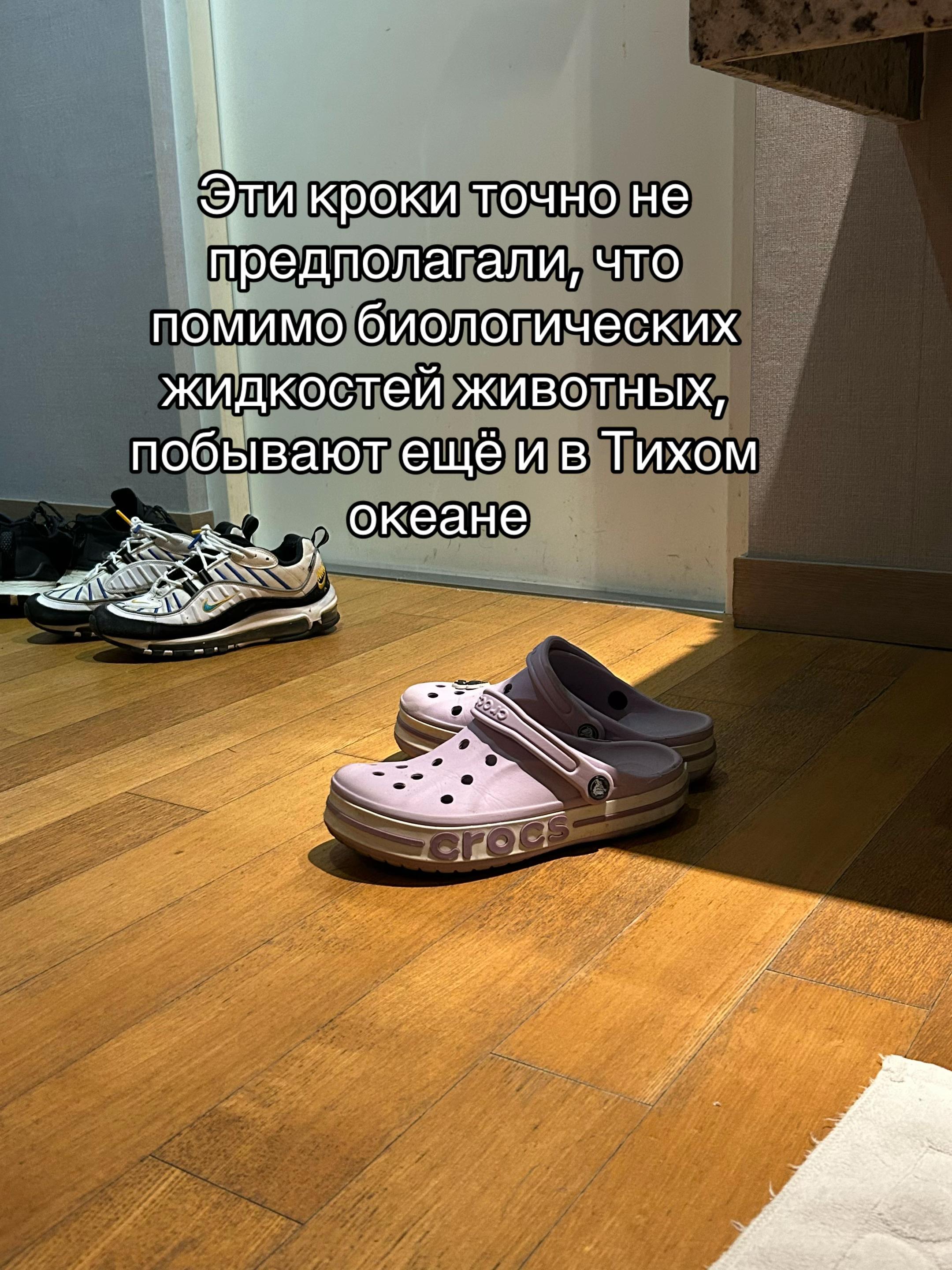 @Бельферг