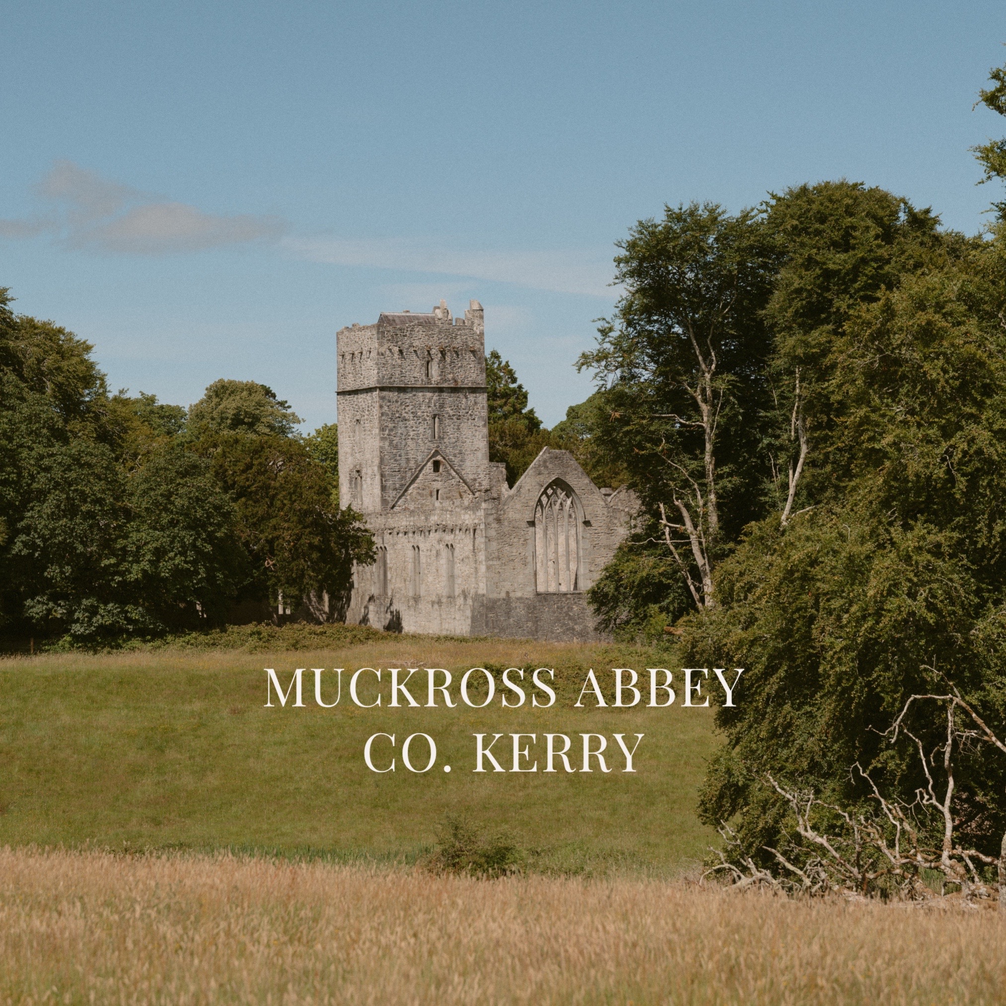 @Ladybird | Irish Weddings