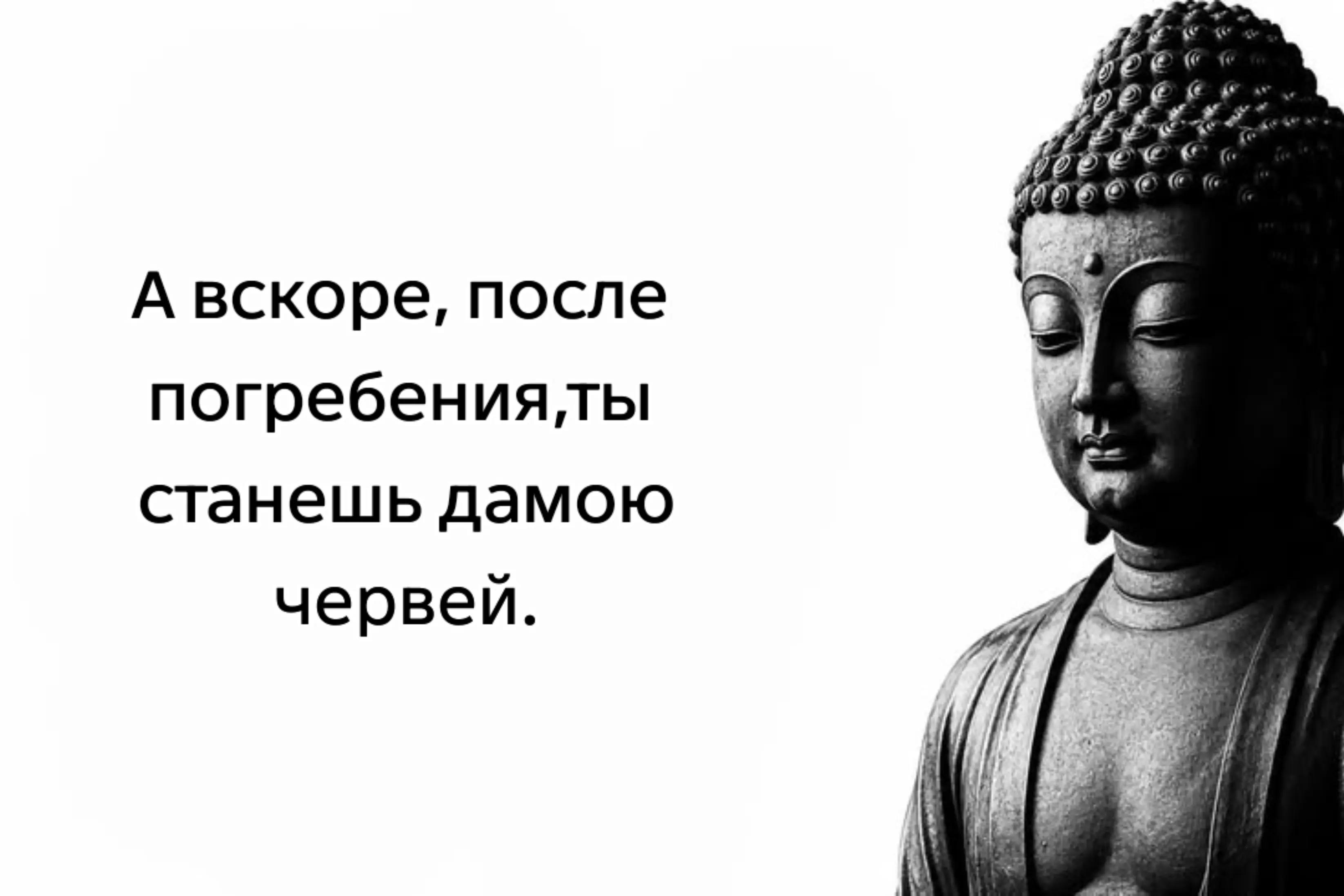 @тгк:𝕯𝖊𝖆𝖙𝖓𝖎𝖙𝖊
