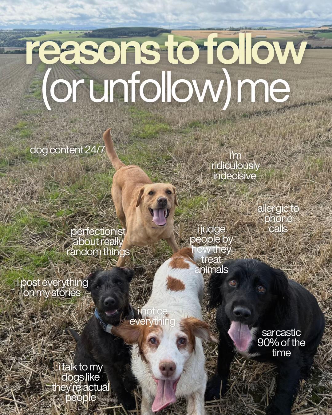 @Paws & Unwind | dog walker