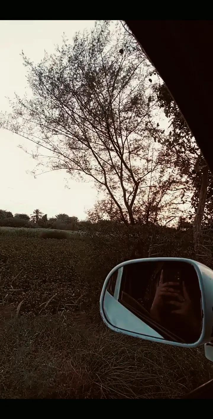 @🎀