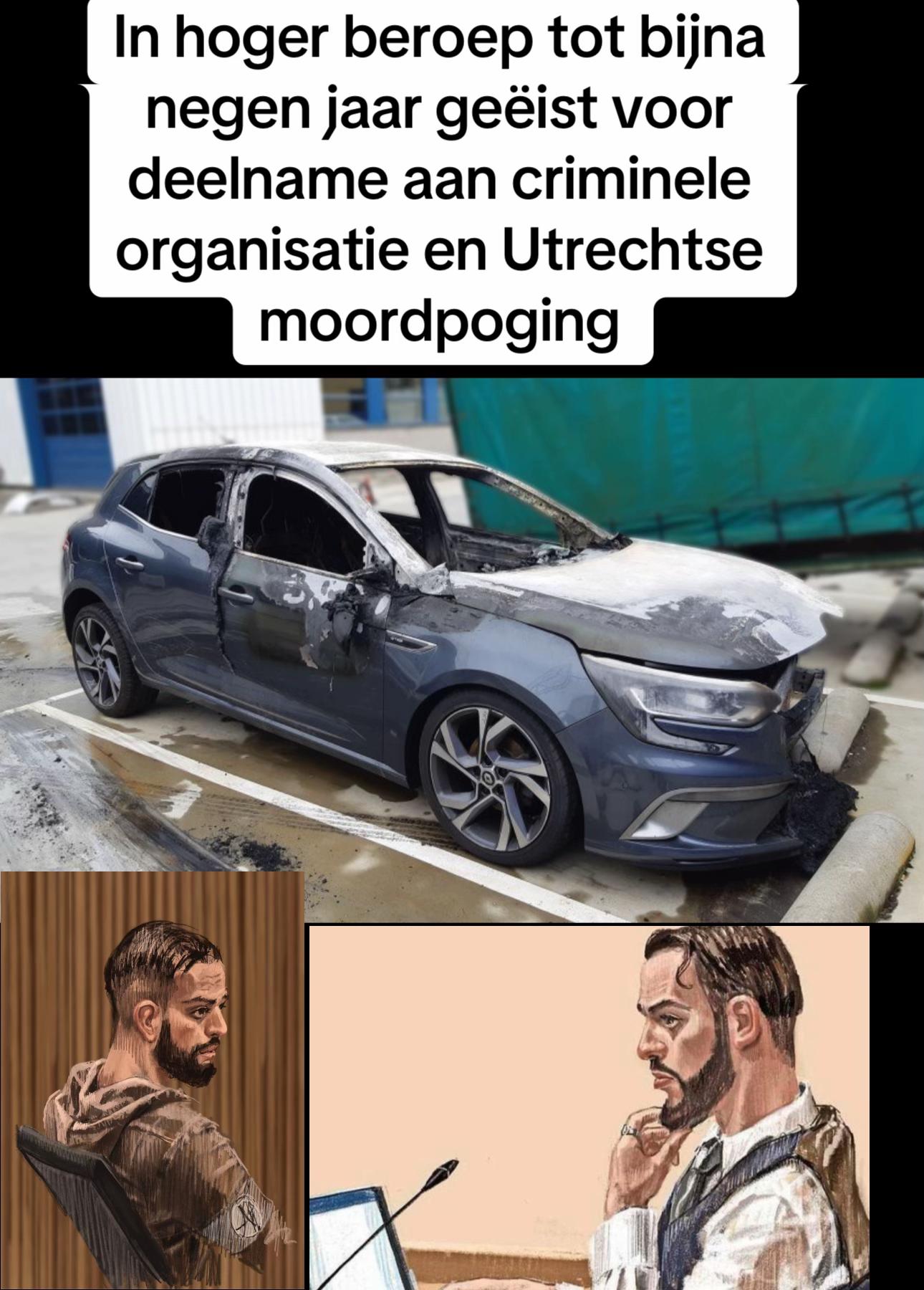 @mocrofootage