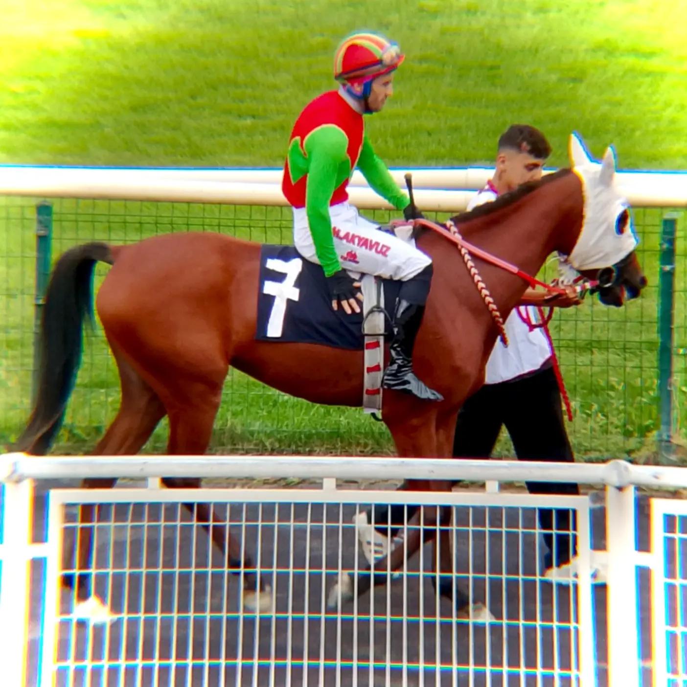 @brs horse racing