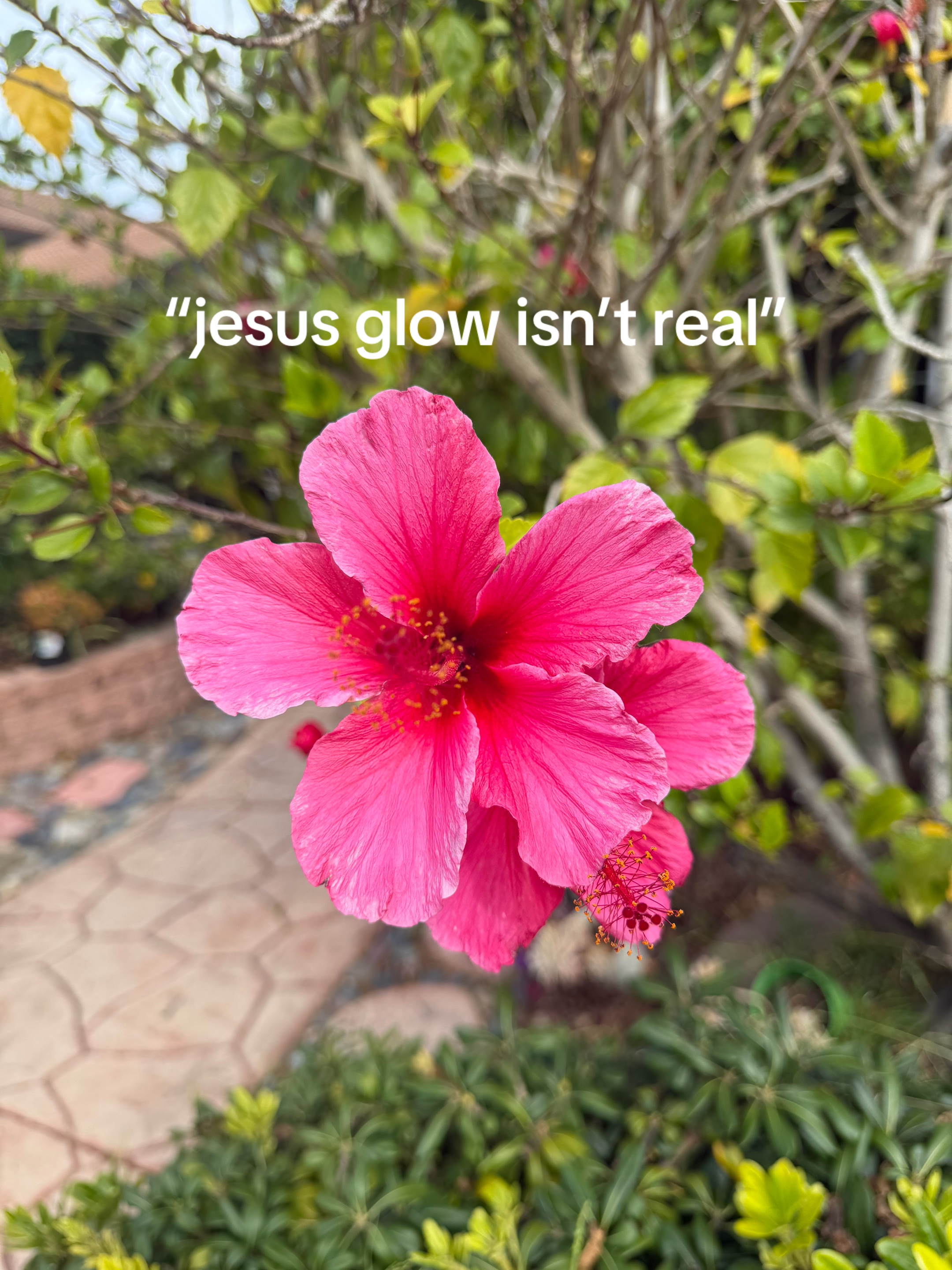 @ellie 🌷