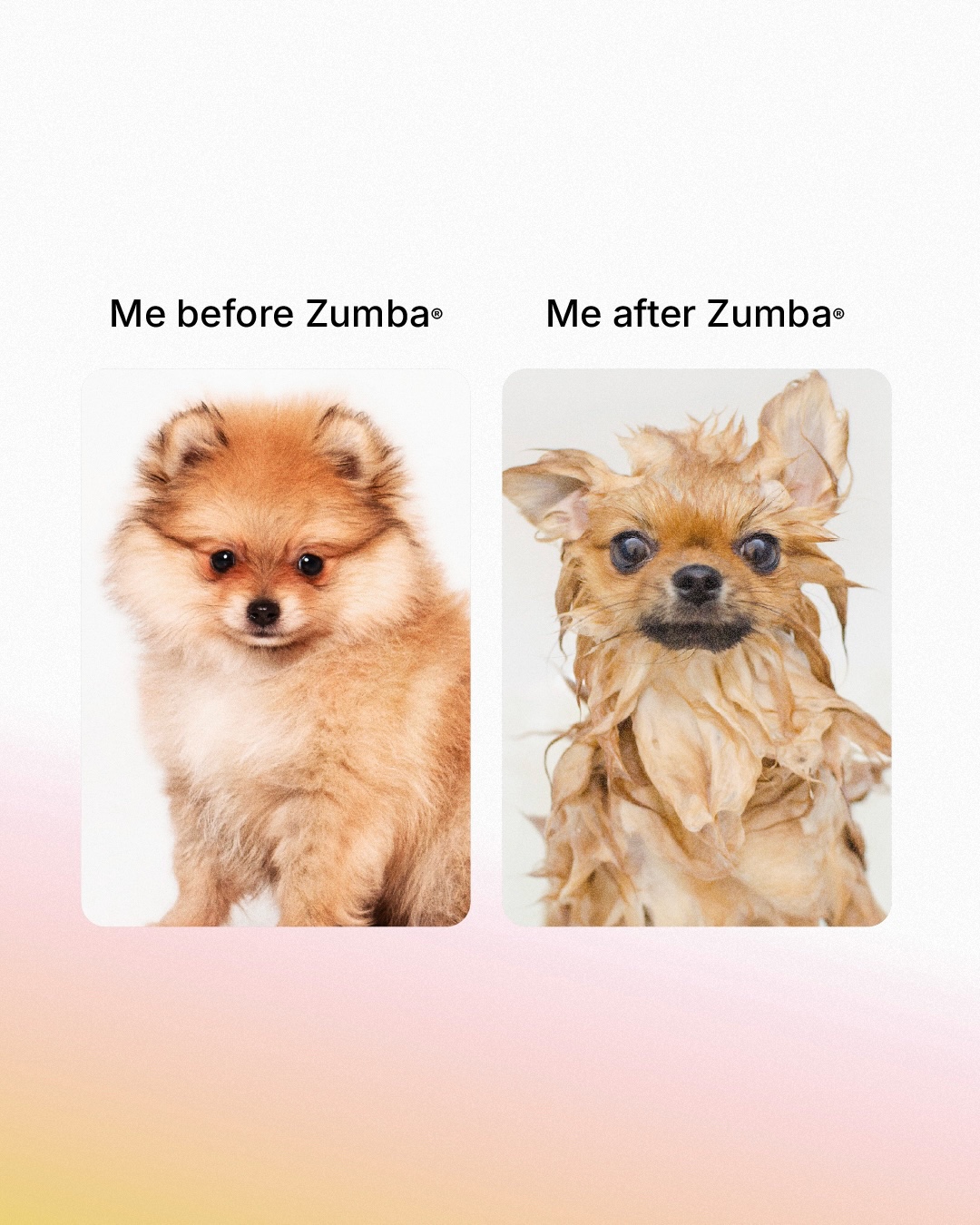 @Zumba Fitness