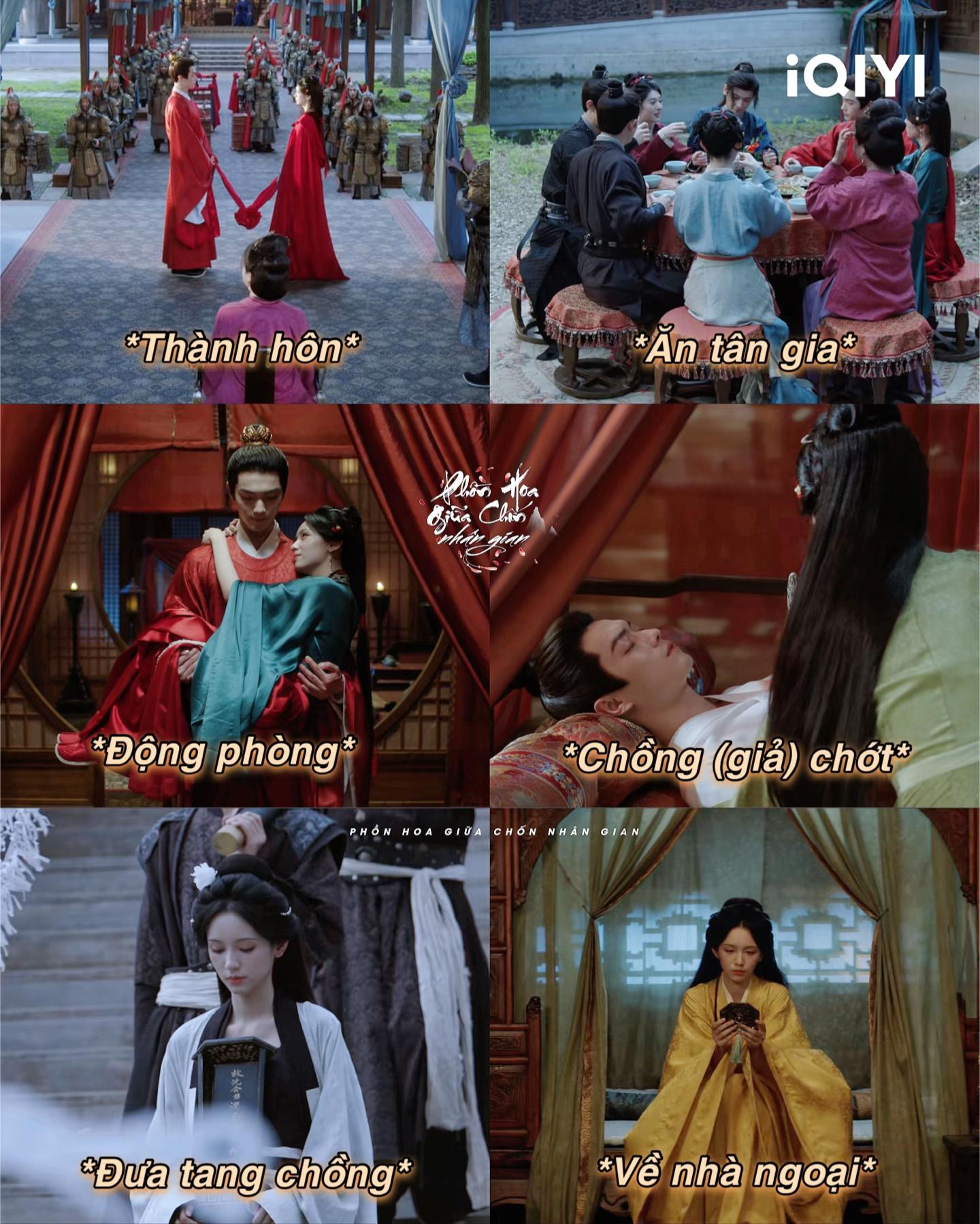 @Phồn Hoa Giữa Chốn Nhân Gian🌸