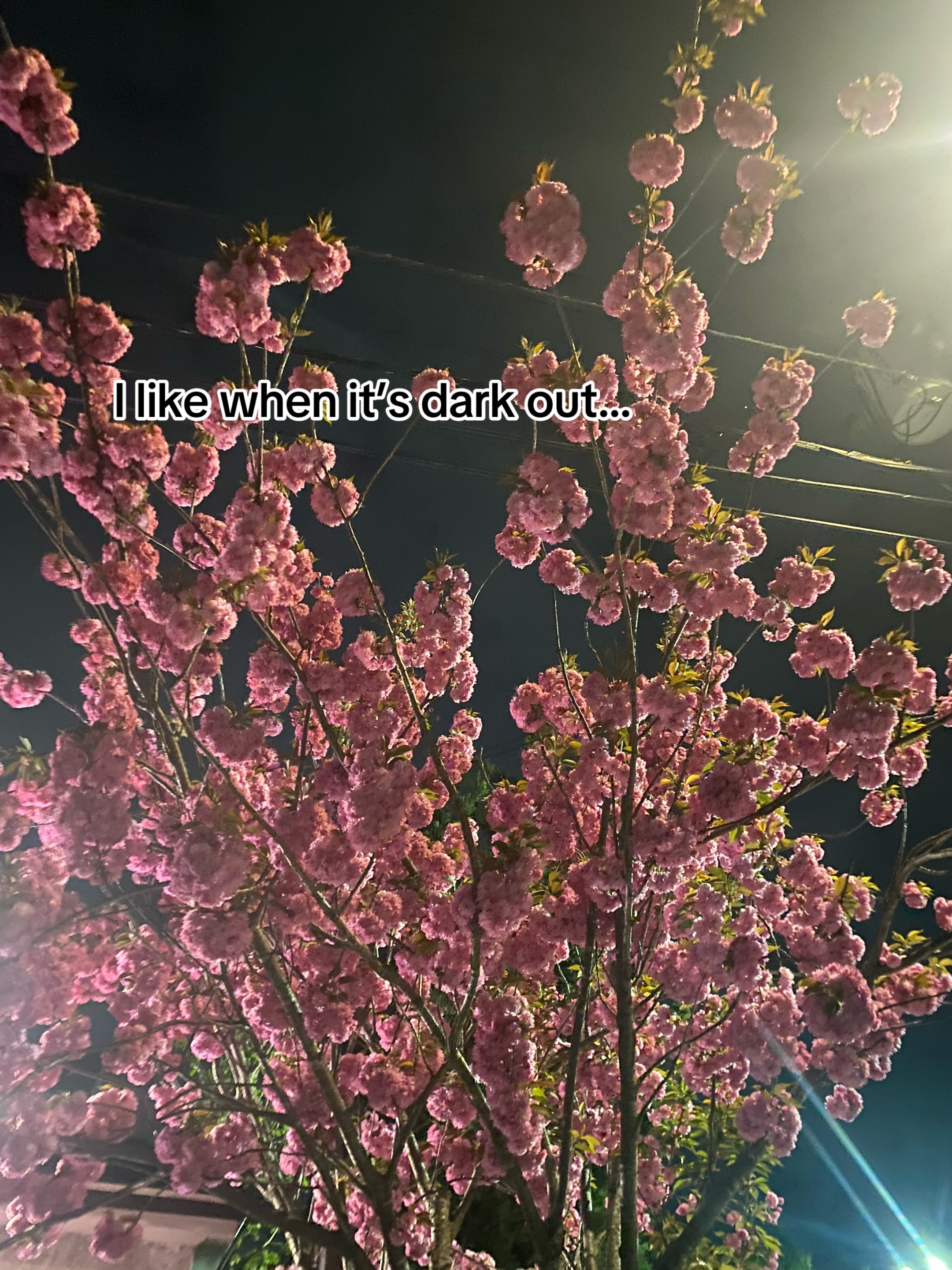 @๐๐๐๐๐๐๐๐๐ เผบโเผป