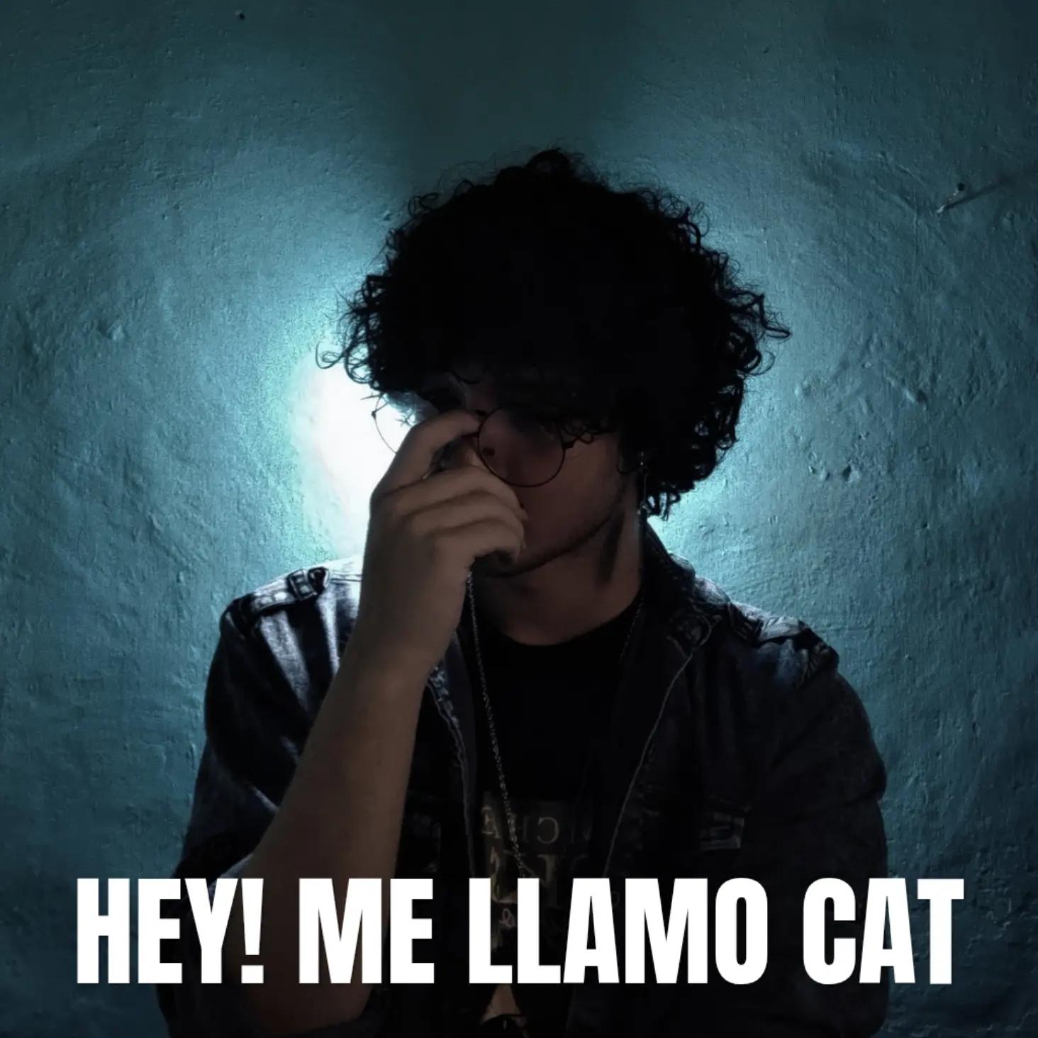 @Cat R