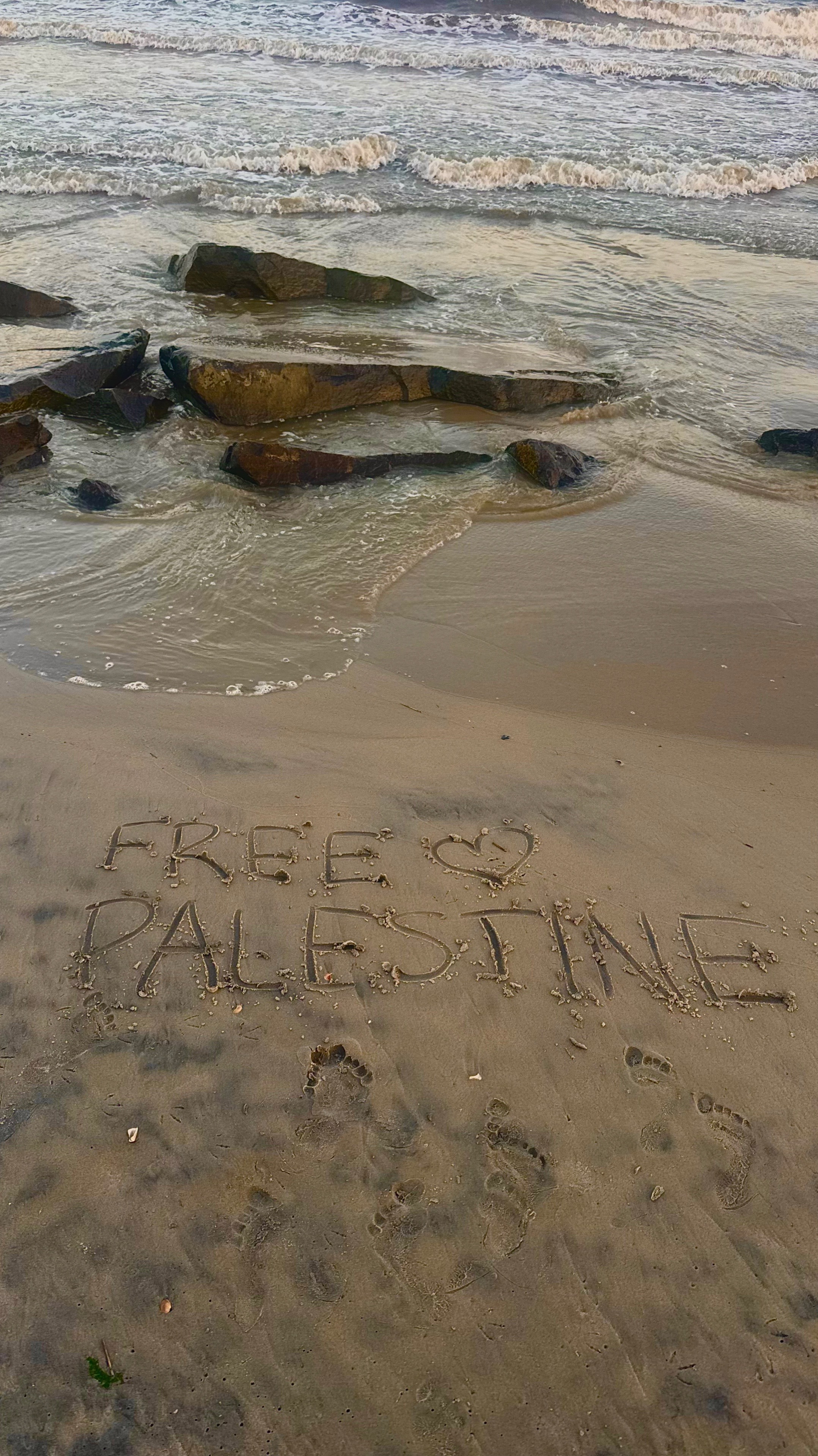 @Alexus🇵🇸
