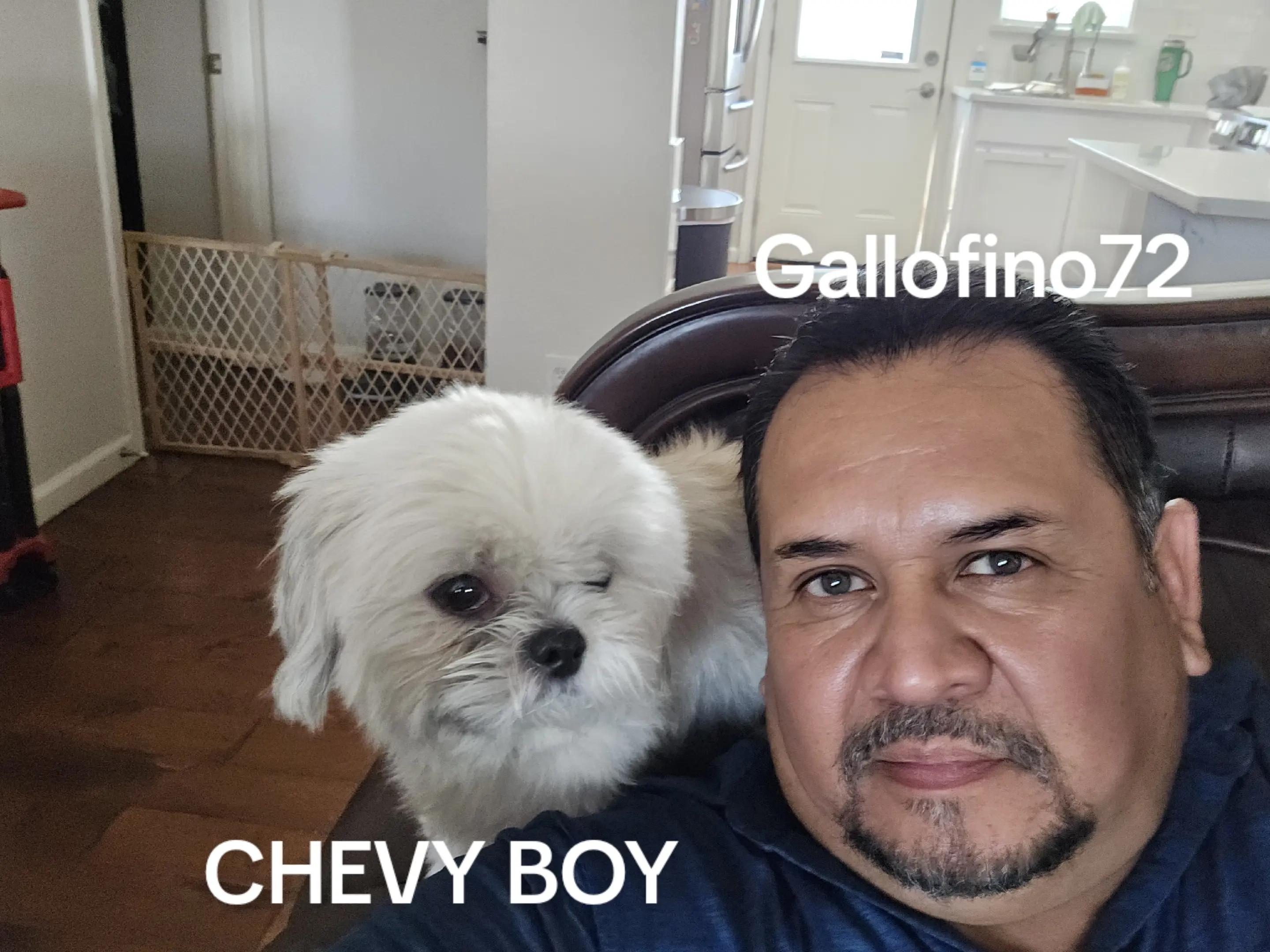 @ElGalloFino