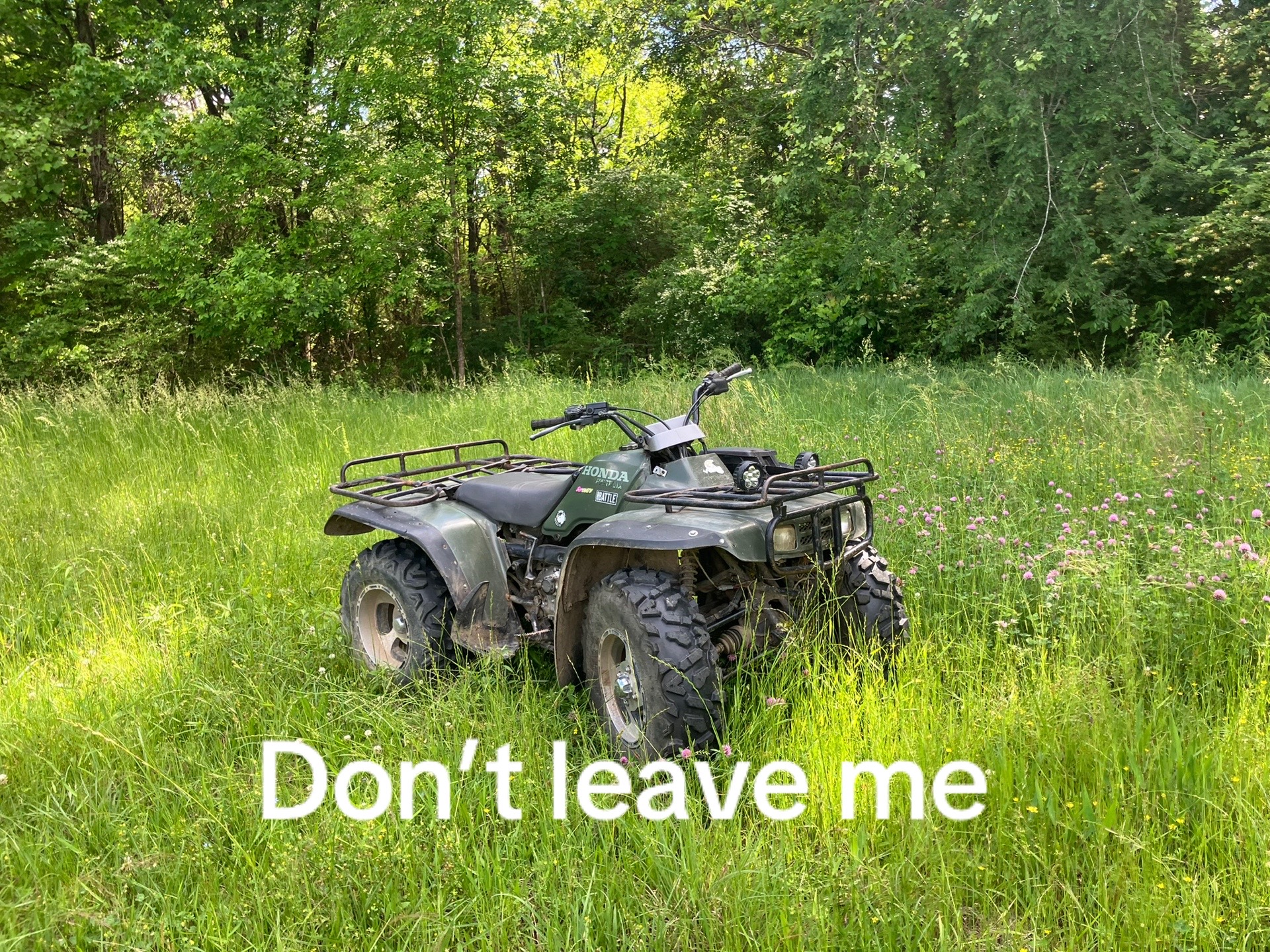 @luke hancock